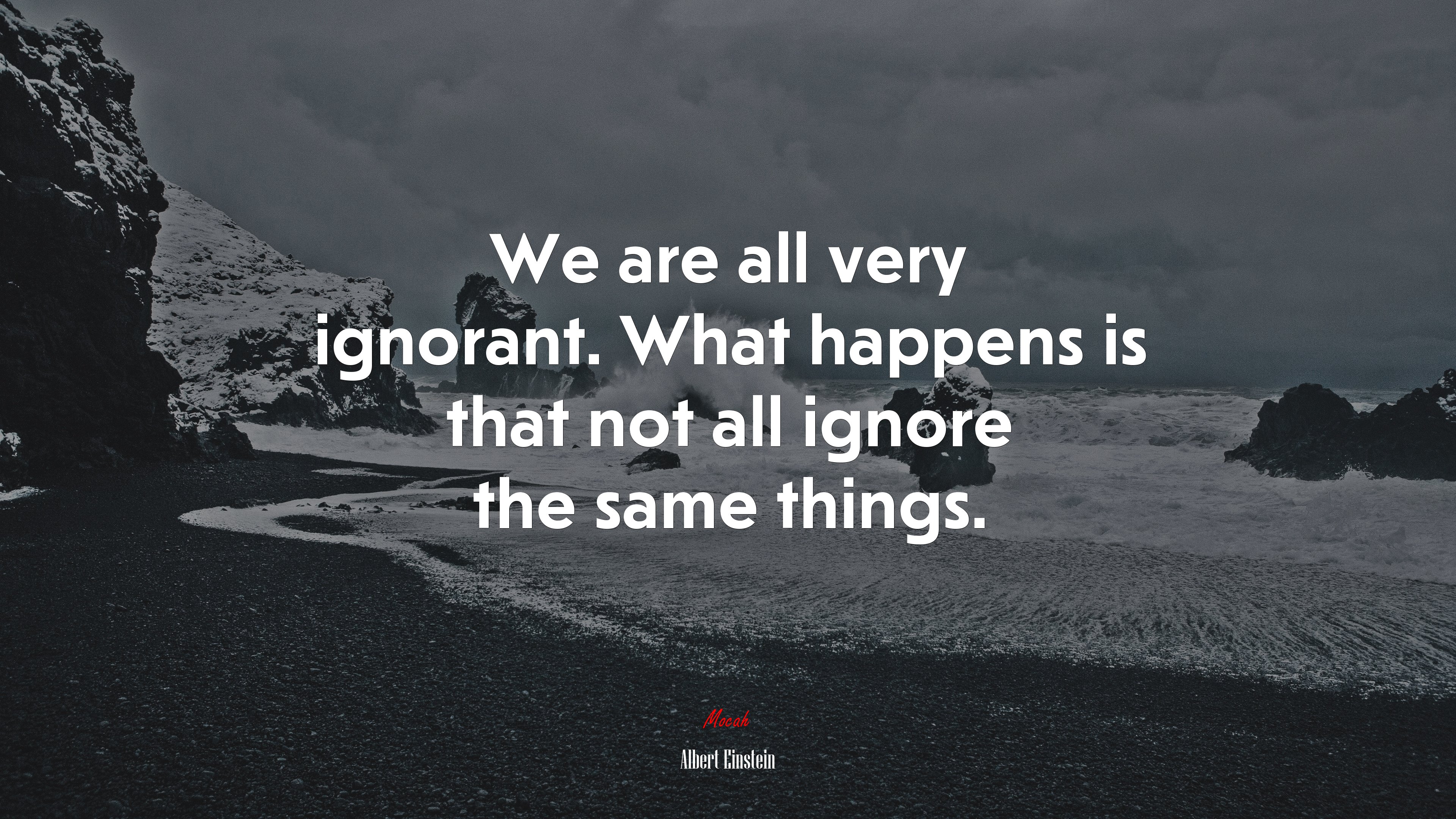 We are all very ignorant. What happens is that not all ignore the same things. | Albert Einstein quote HD Wallpaper