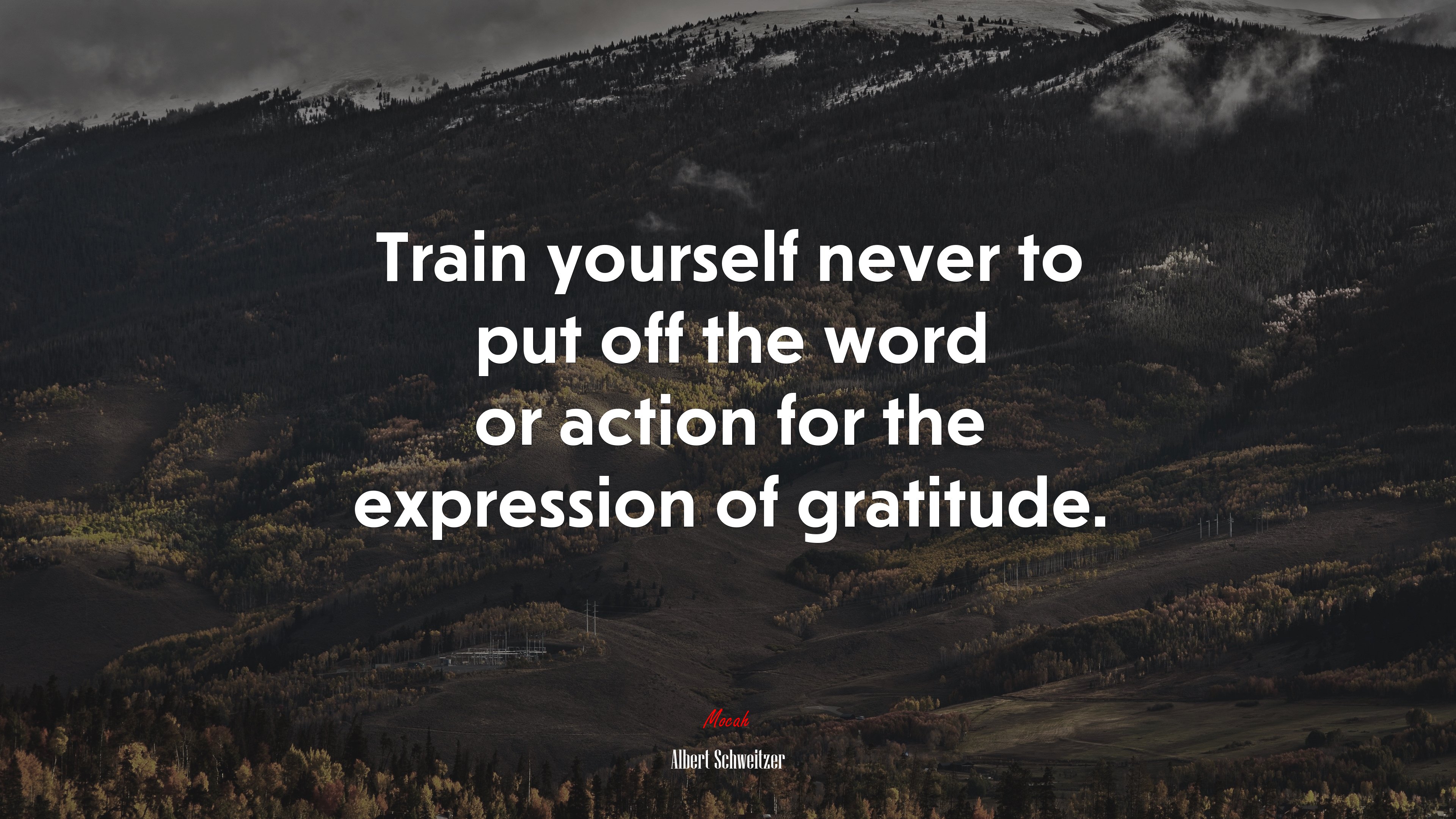 Train yourself never to put off the word or action for the expression of gratitude. | Albert Schweitzer quote HD Wallpaper