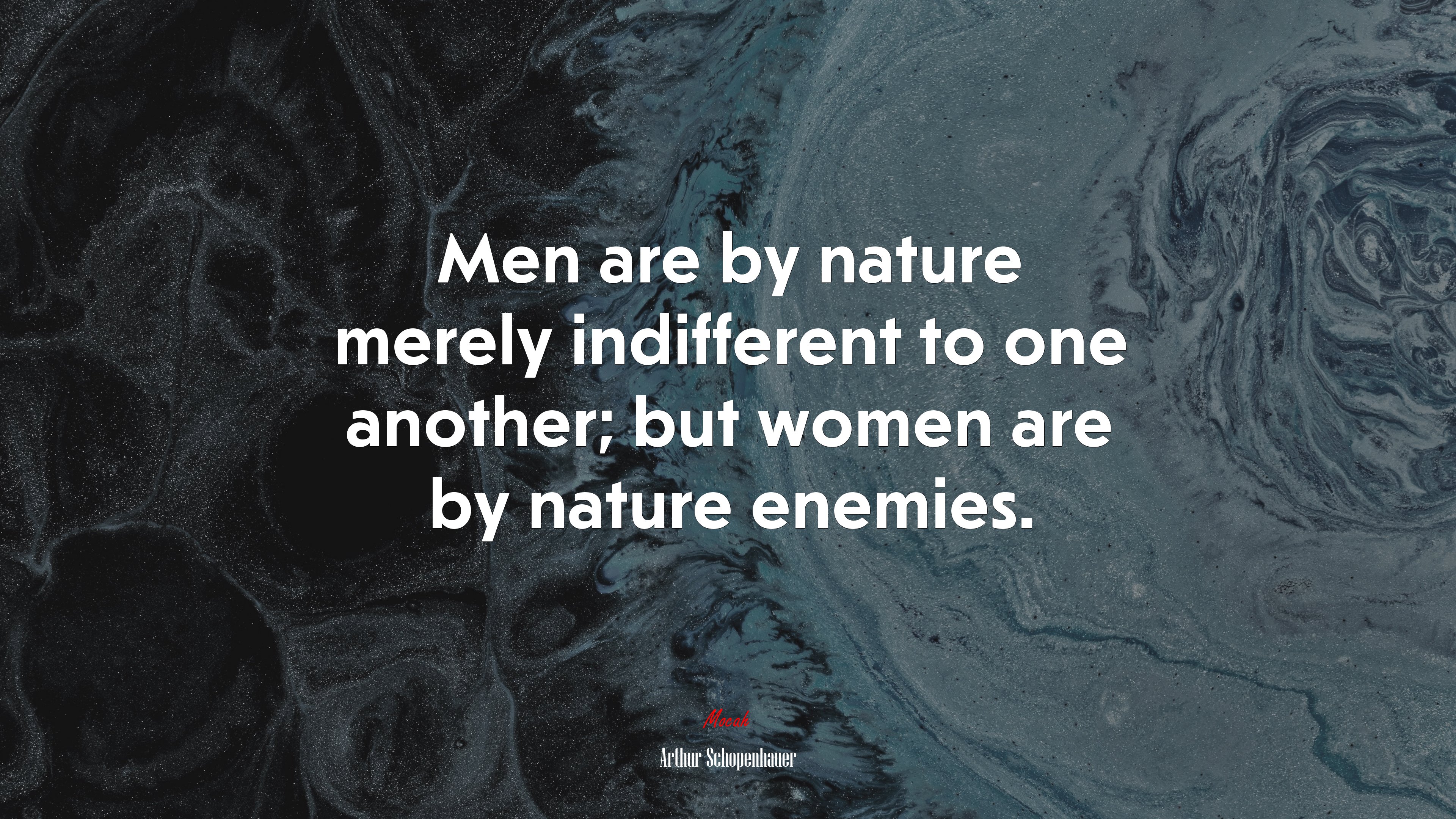 Men are by nature merely indifferent to one another; but women are by nature enemies. | Arthur Schopenhauer quote HD Wallpaper