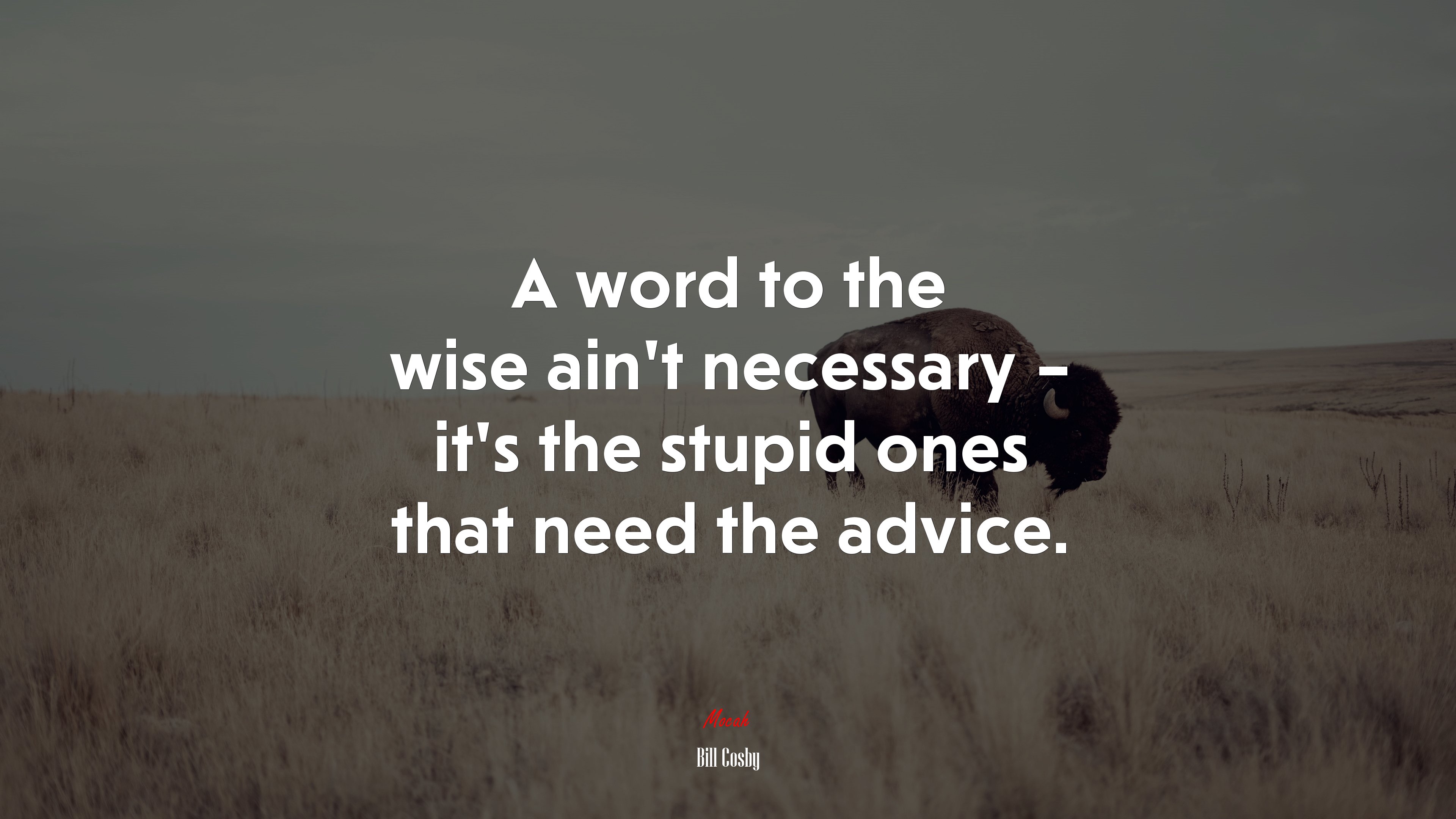 A word to the wise ain’t necessary – it’s the stupid ones that need the advice. | Bill Cosby quote HD Wallpaper