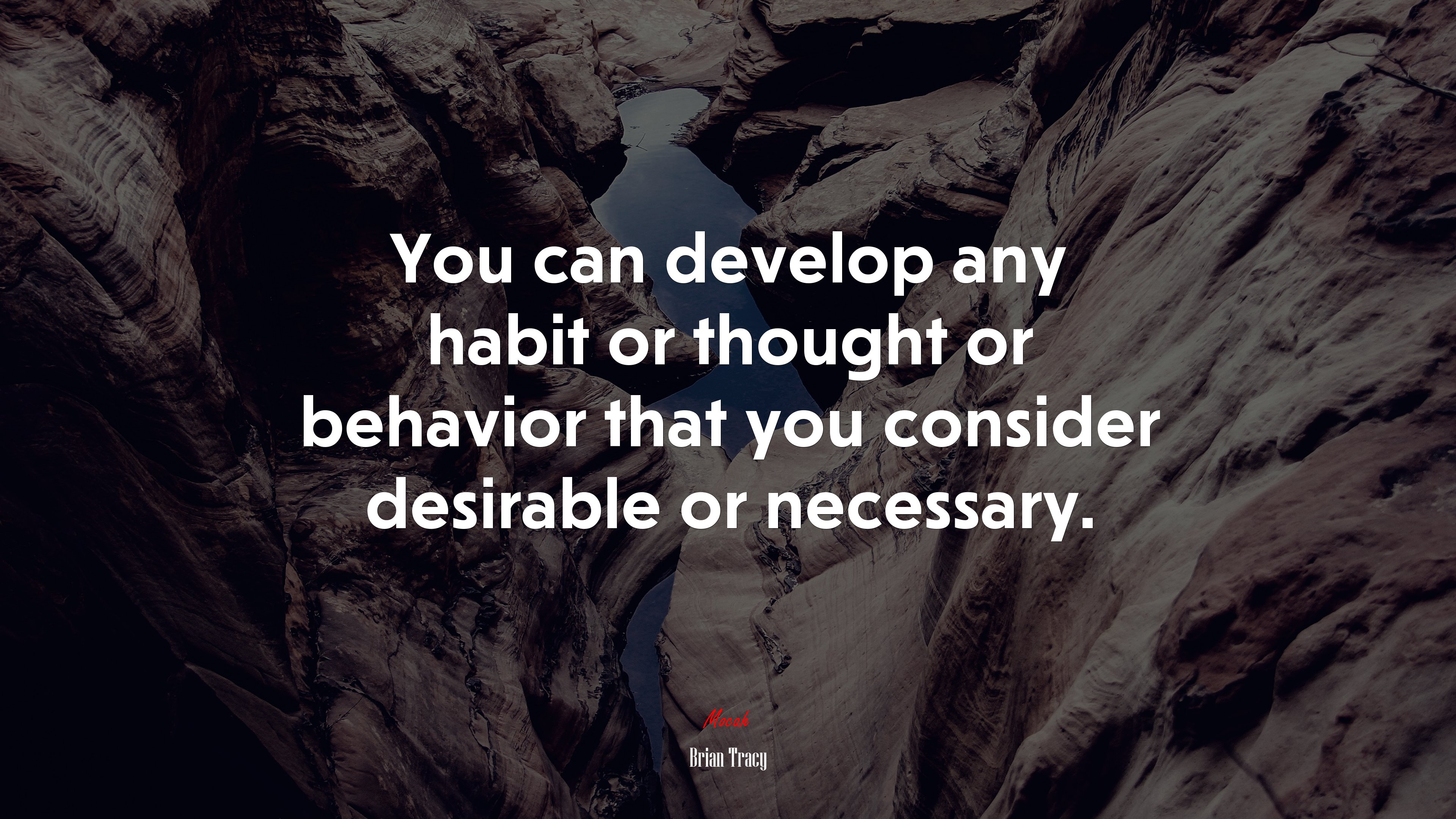 You can develop any habit or thought or behavior that you consider desirable or necessary. | Brian Tracy quote HD Wallpaper