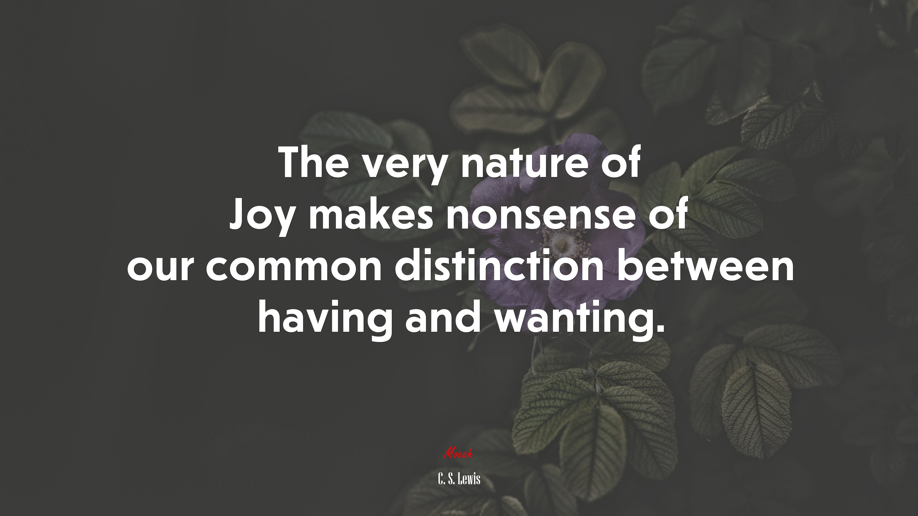 The very nature of Joy makes nonsense of our common distinction between having and wanting. | C. S. Lewis quote HD Wallpaper