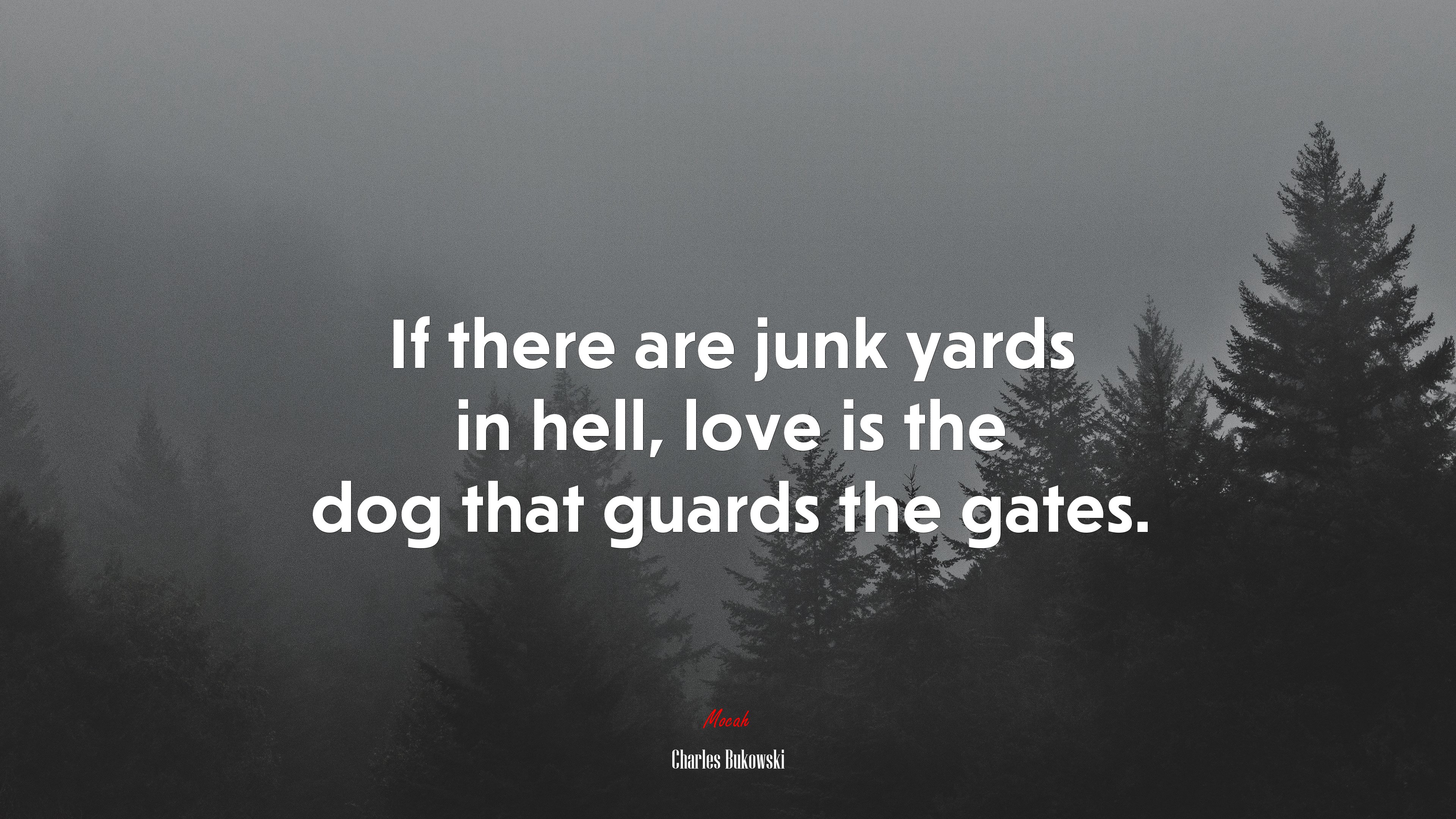 If there are junk yards in hell, love is the dog that guards the gates. | Charles Bukowski quote HD Wallpaper