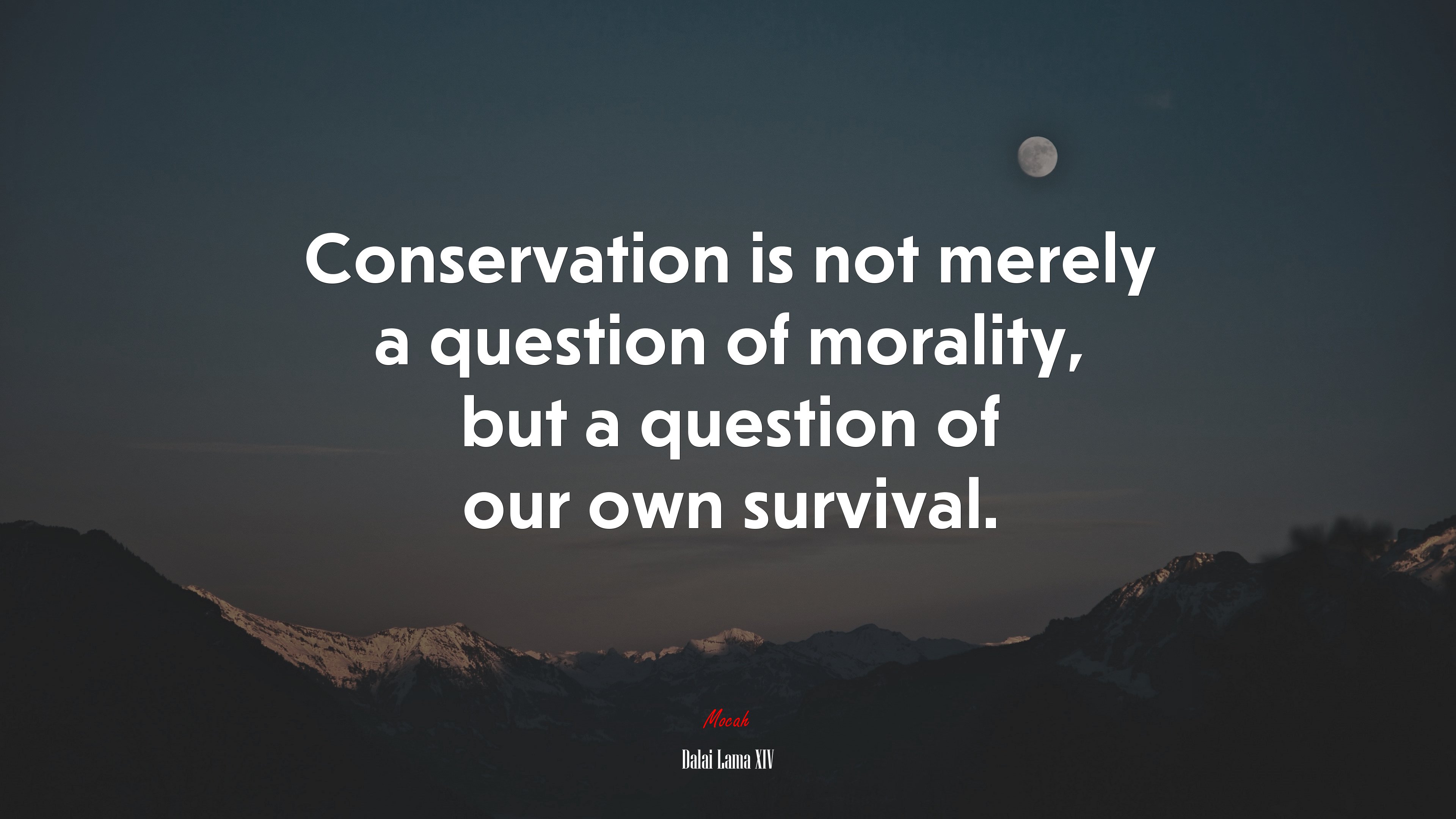Conservation is not merely a question of morality, but a question of our own survival. | Dalai Lama XIV quote HD Wallpaper