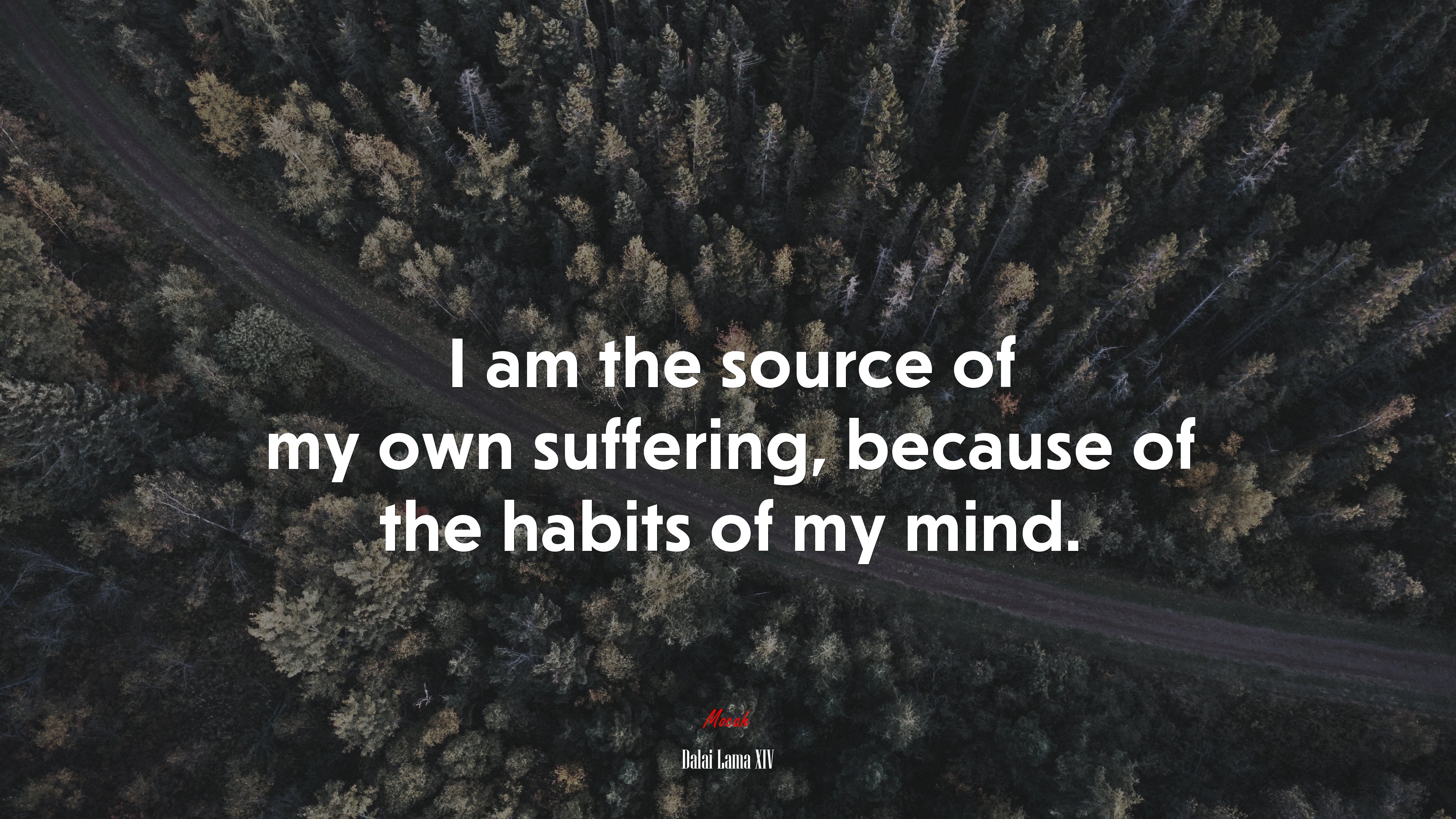 I am the source of my own suffering, because of the habits of my mind. | Dalai Lama XIV quote HD Wallpaper