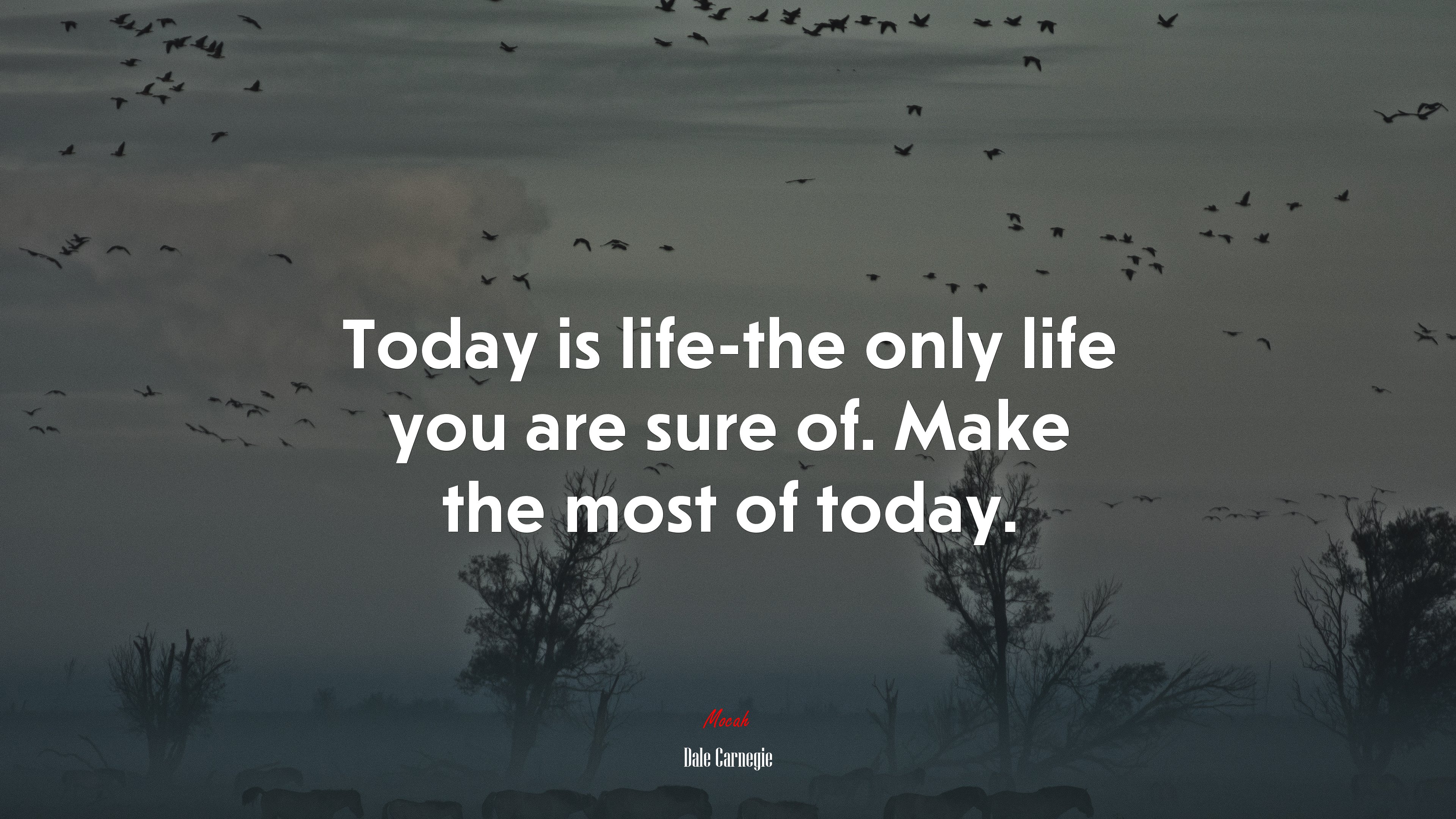 Today is life-the only life you are sure of. Make the most of today. | Dale Carnegie quote HD Wallpaper