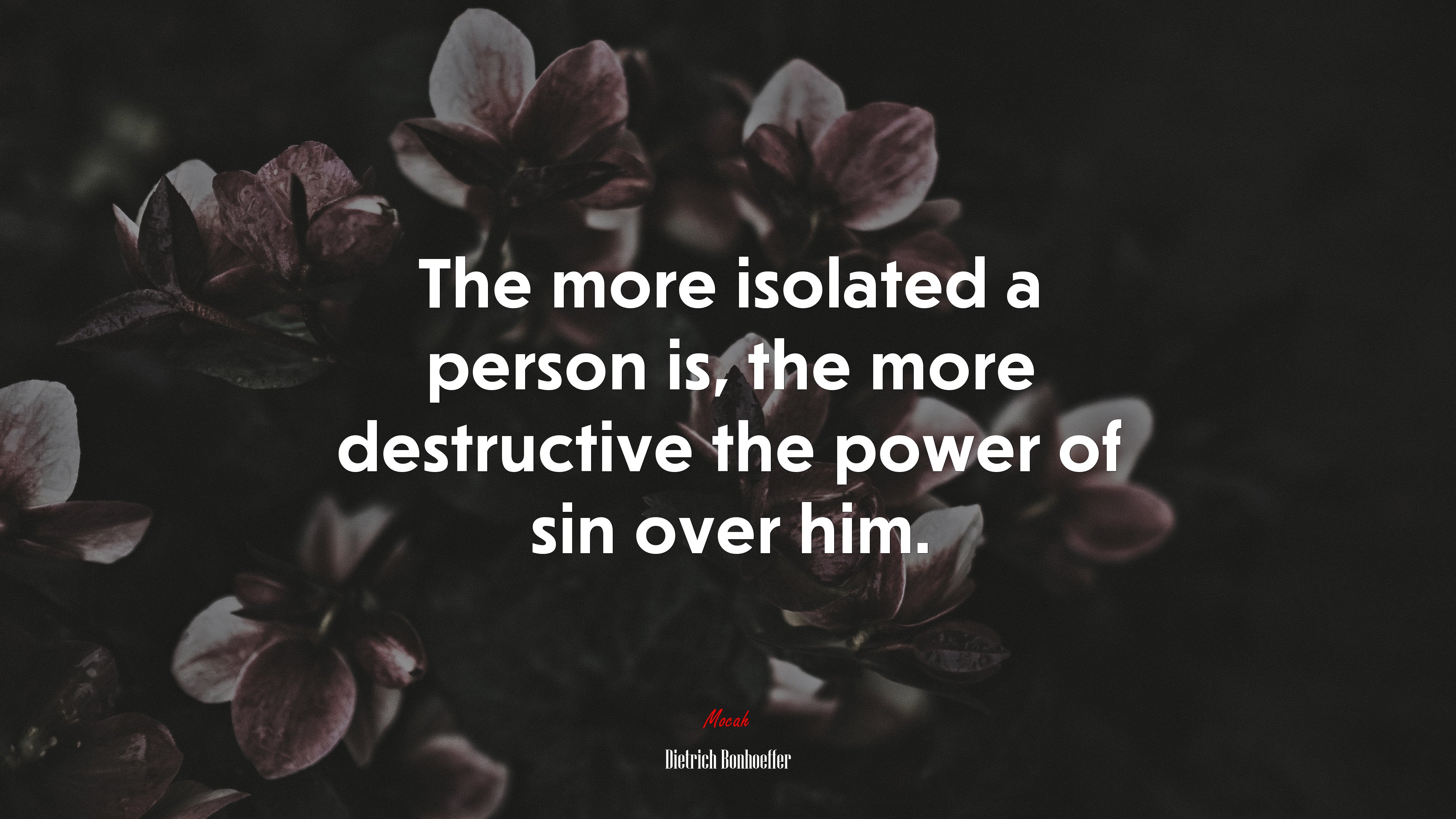 The more isolated a person is, the more destructive the power of sin over him. | Dietrich Bonhoeffer quote HD Wallpaper