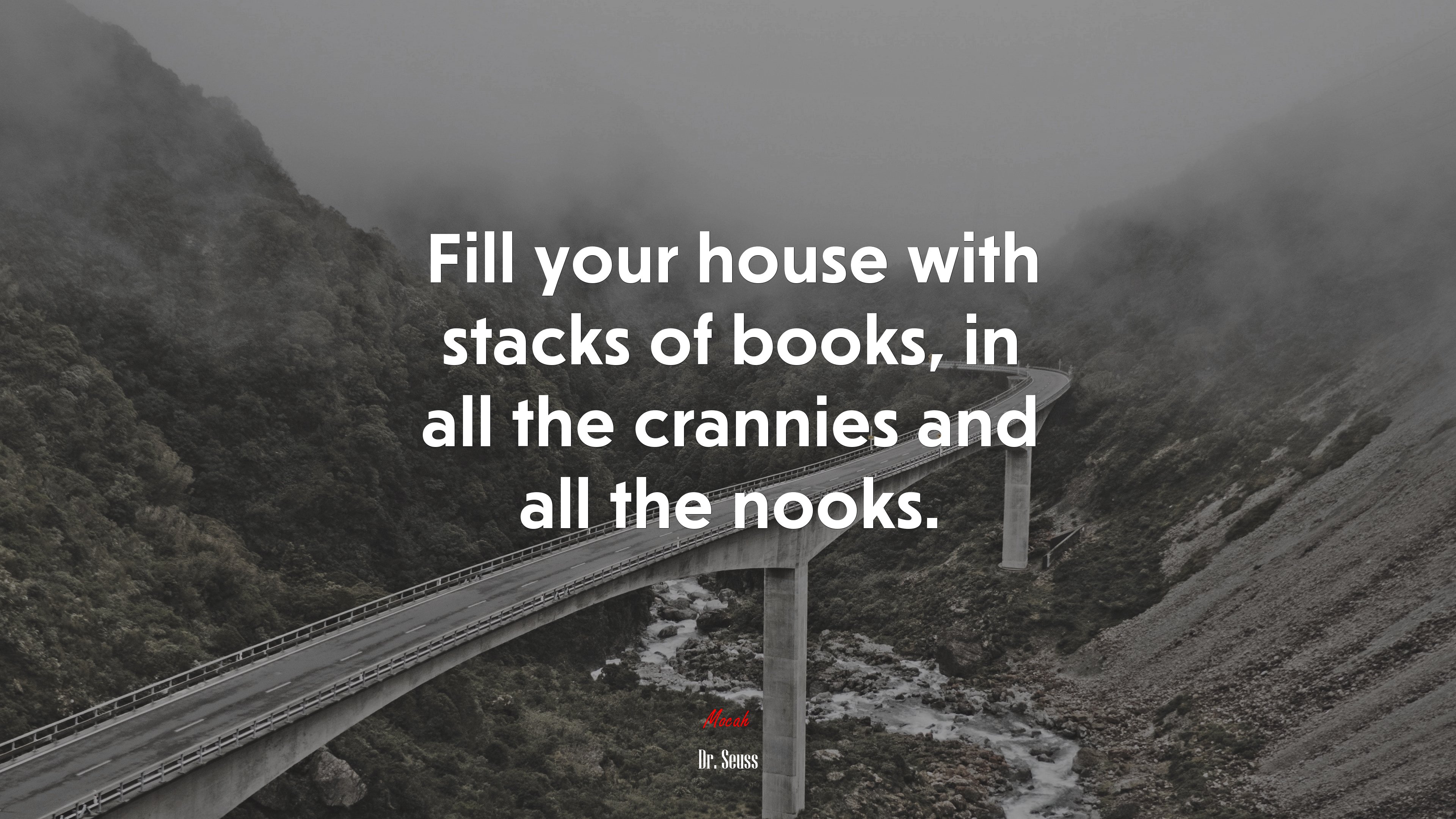 Fill your house with stacks of books, in all the crannies and all the nooks. | Dr. Seuss quote HD Wallpaper