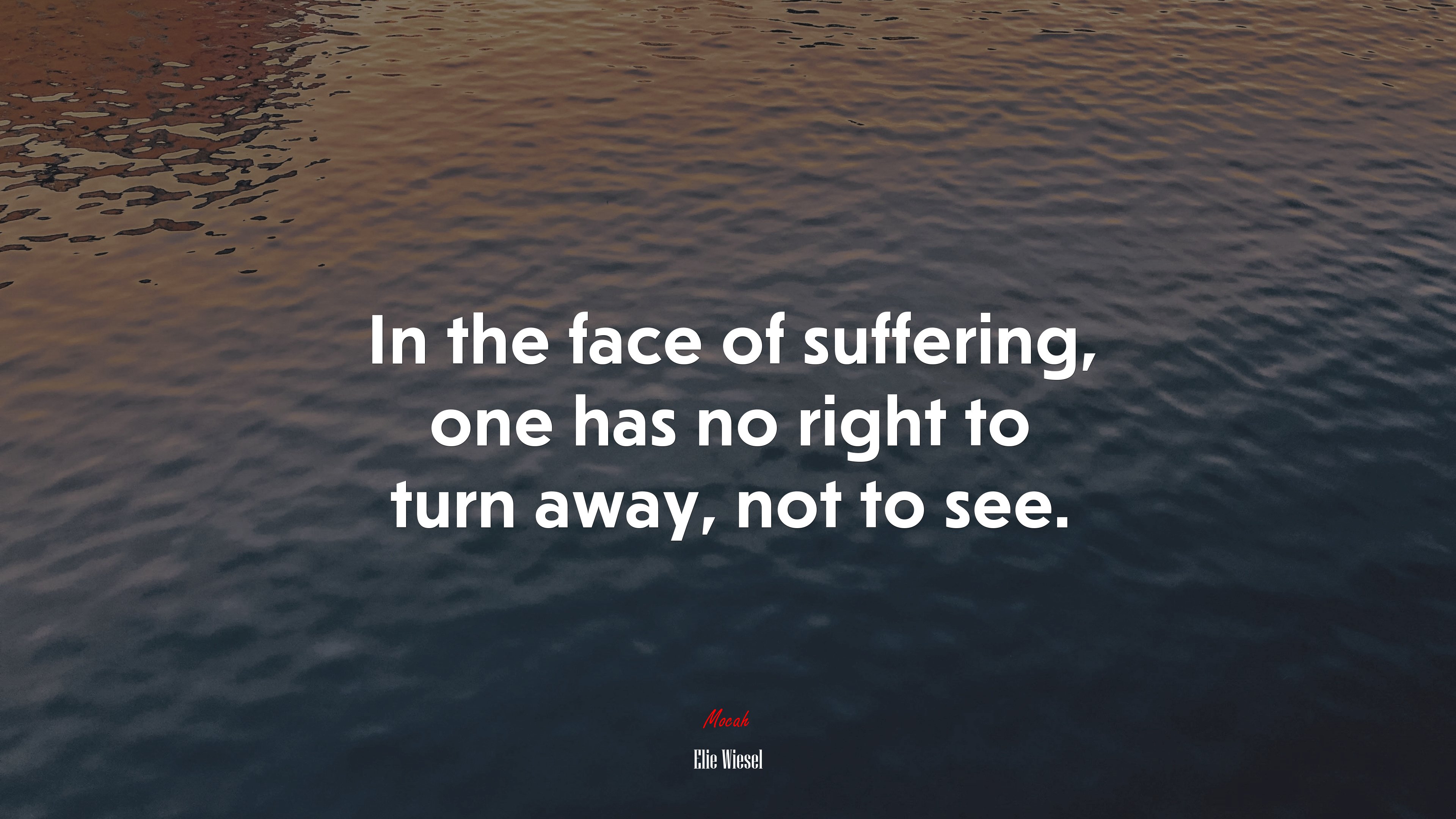 In the face of suffering, one has no right to turn away, not to see. | Elie Wiesel quote HD Wallpaper