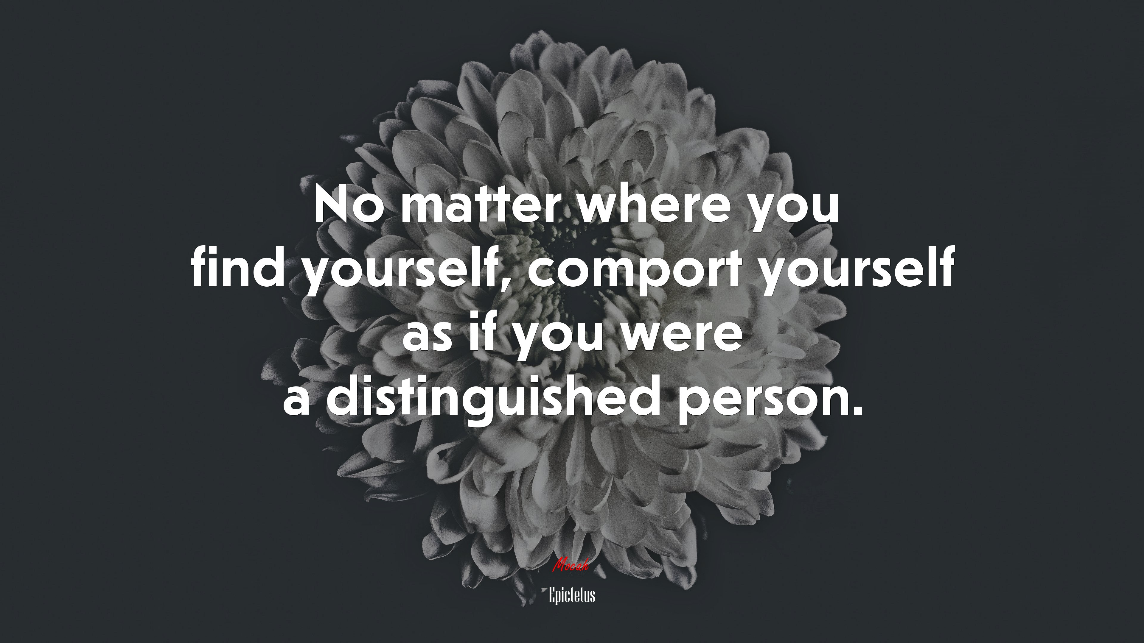 No matter where you find yourself, comport yourself as if you were a distinguished person. | Epictetus quote HD Wallpaper