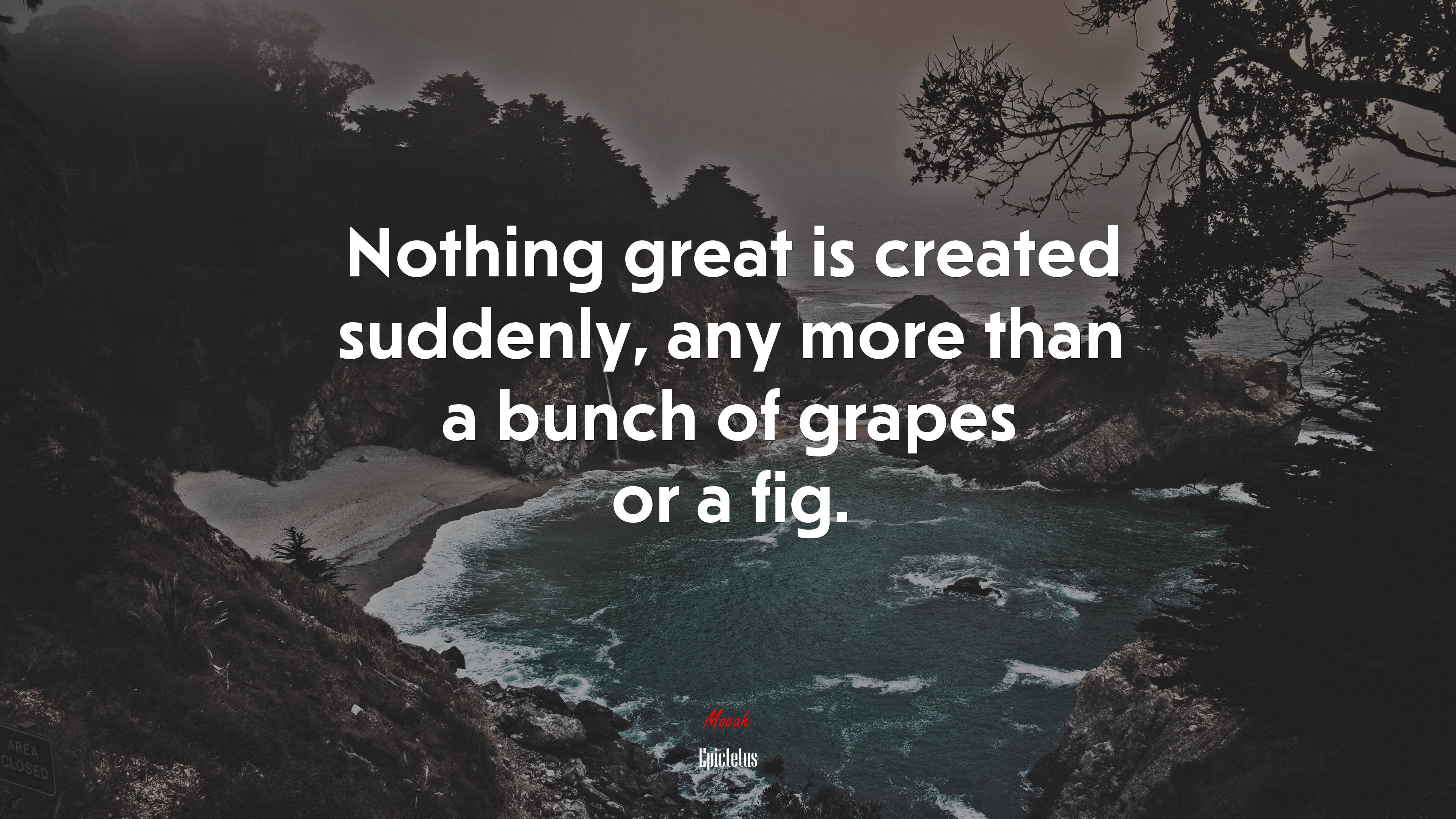 Nothing great is created suddenly, any more than a bunch of grapes or a fig. | Epictetus quote HD Wallpaper