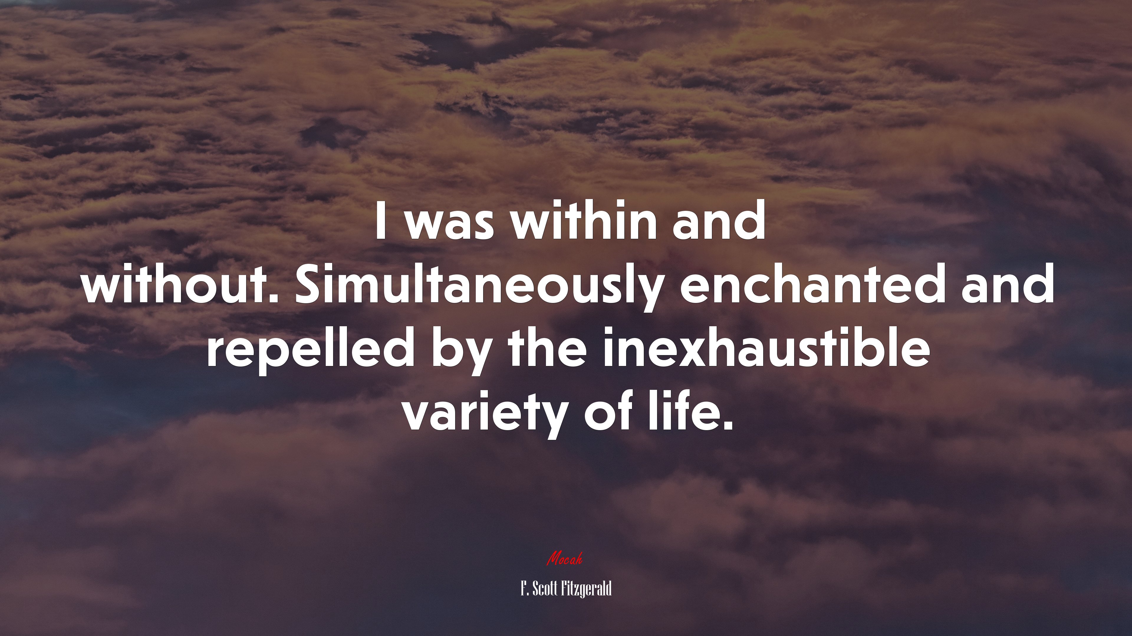 I was within and without. Simultaneously enchanted and repelled by the inexhaustible variety of life. | F. Scott Fitzgerald quote HD Wallpaper