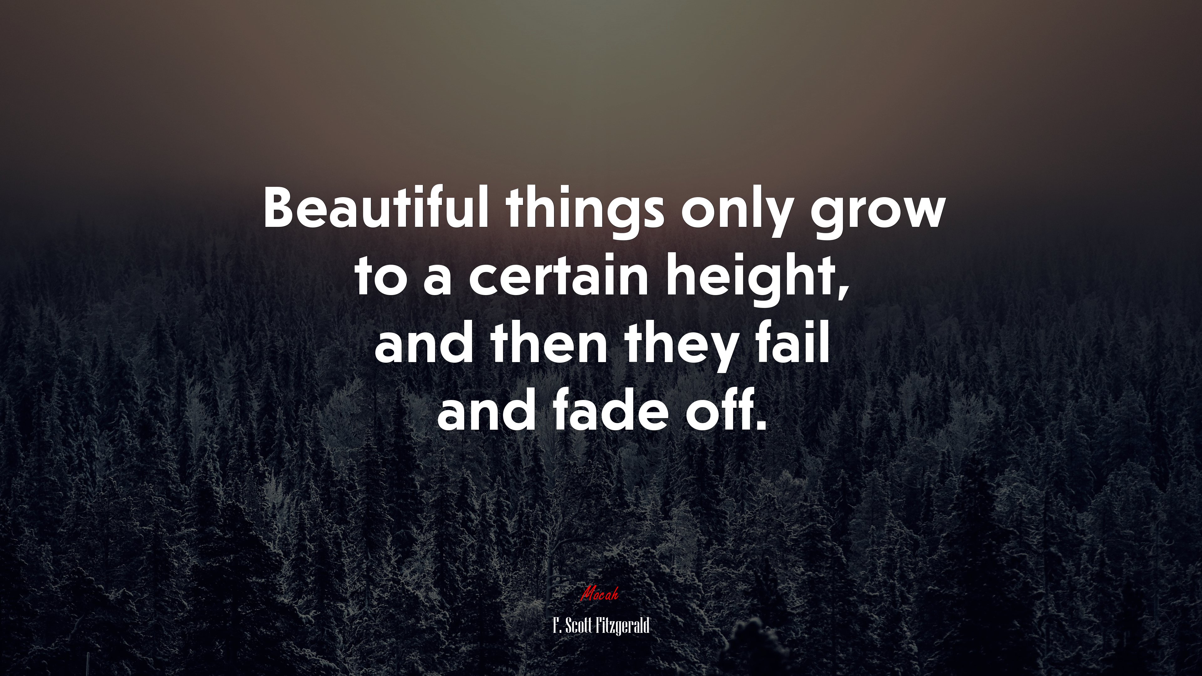 Beautiful things only grow to a certain height, and then they fail and fade off. | F. Scott Fitzgerald quote HD Wallpaper