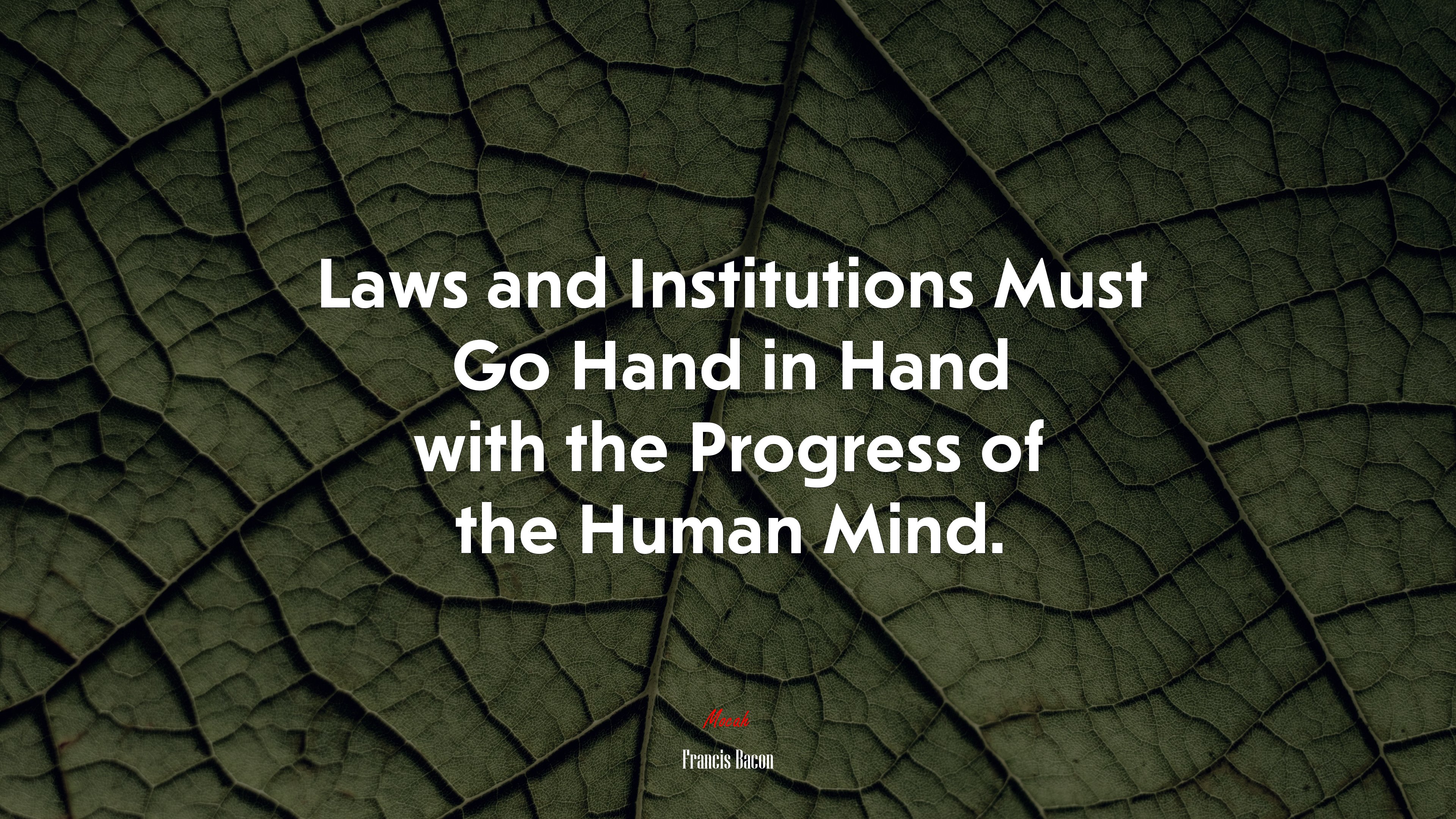 Laws and Institutions Must Go Hand in Hand with the Progress of the Human Mind. | Francis Bacon quote HD Wallpaper