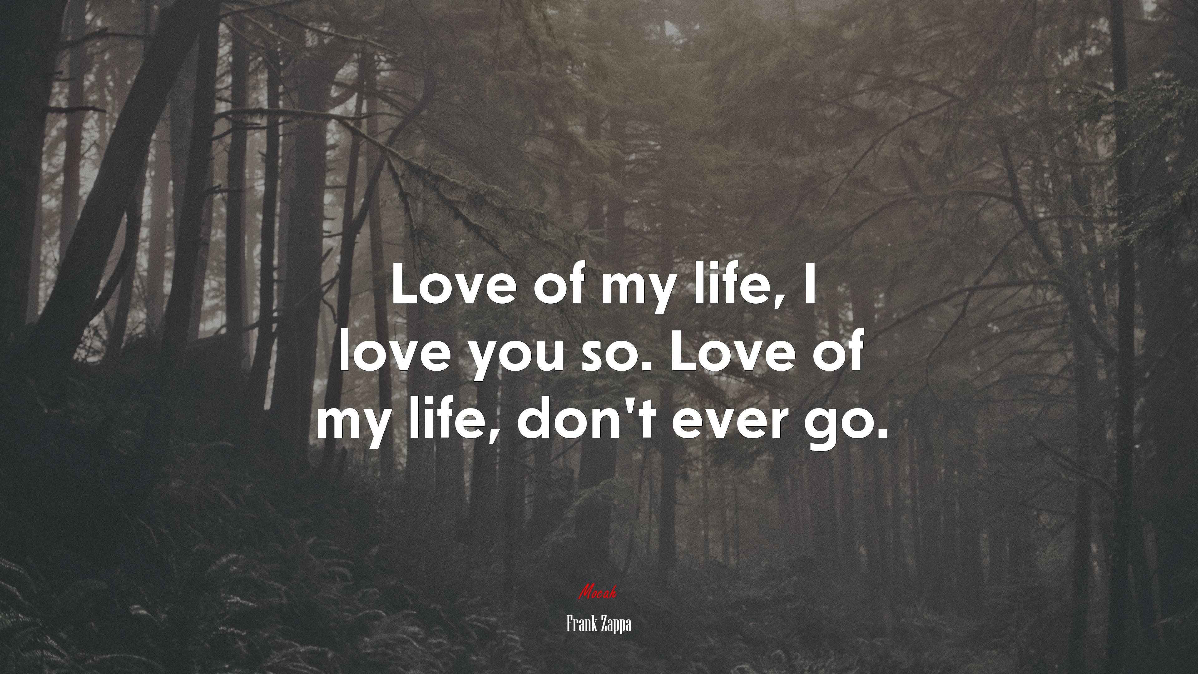 Love of my life, I love you so. Love of my life, don’t ever go. | Frank Zappa quote HD Wallpaper