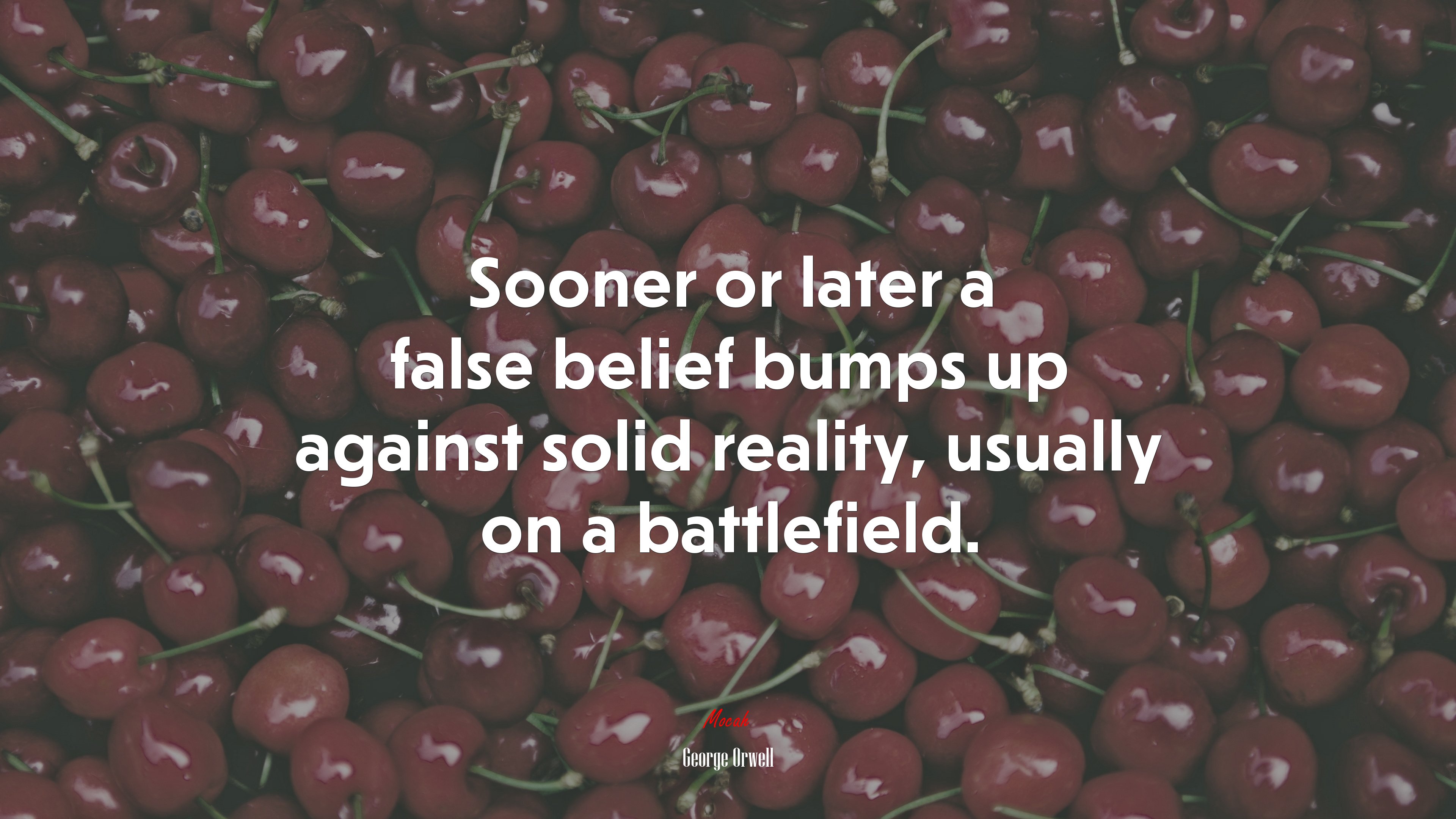 Sooner or later a false belief bumps up against solid reality, usually on a battlefield. | George Orwell quote HD Wallpaper