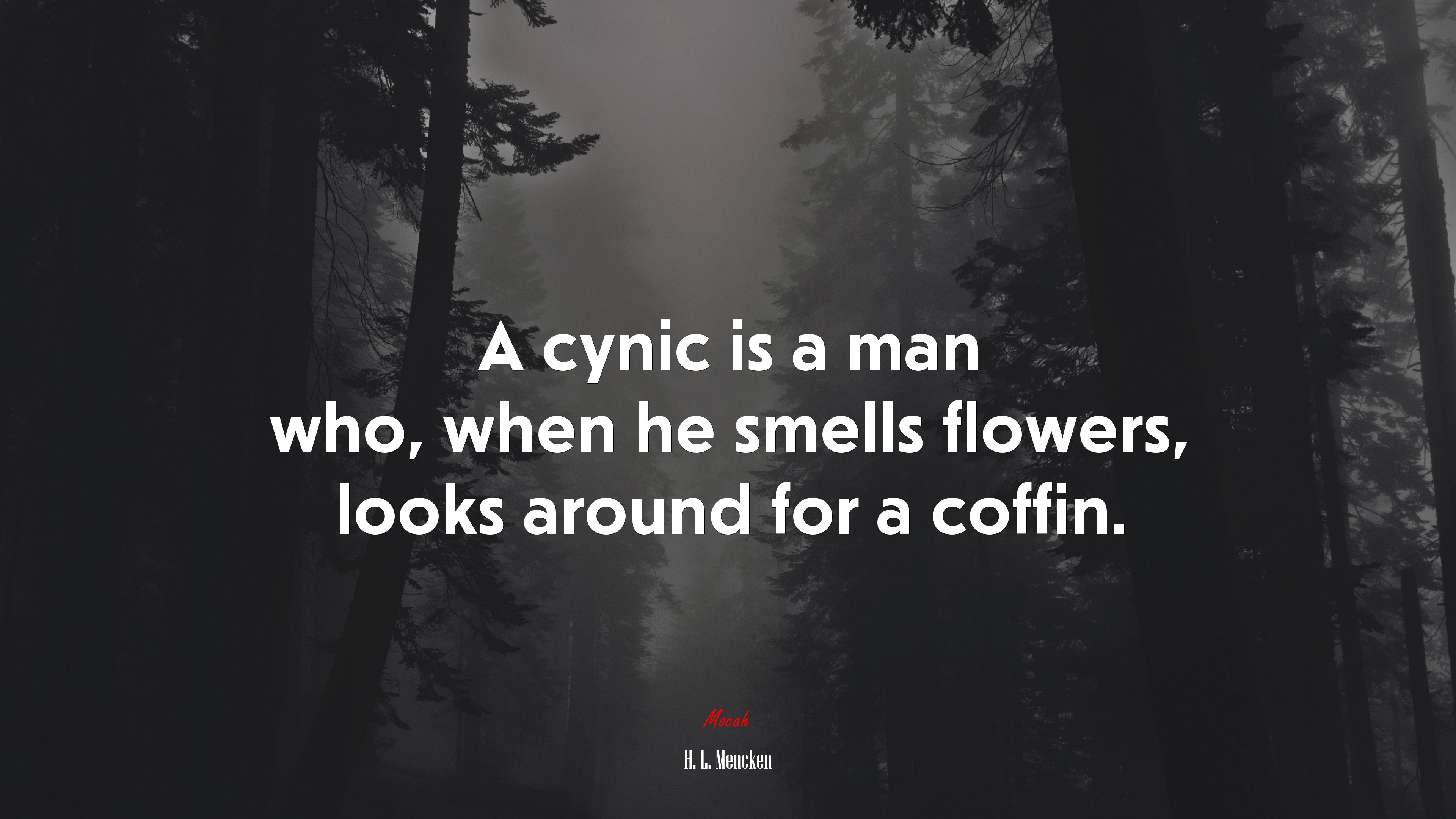 A cynic is a man who, when he smells flowers, looks around for a coffin. | H. L. Mencken quote HD Wallpaper