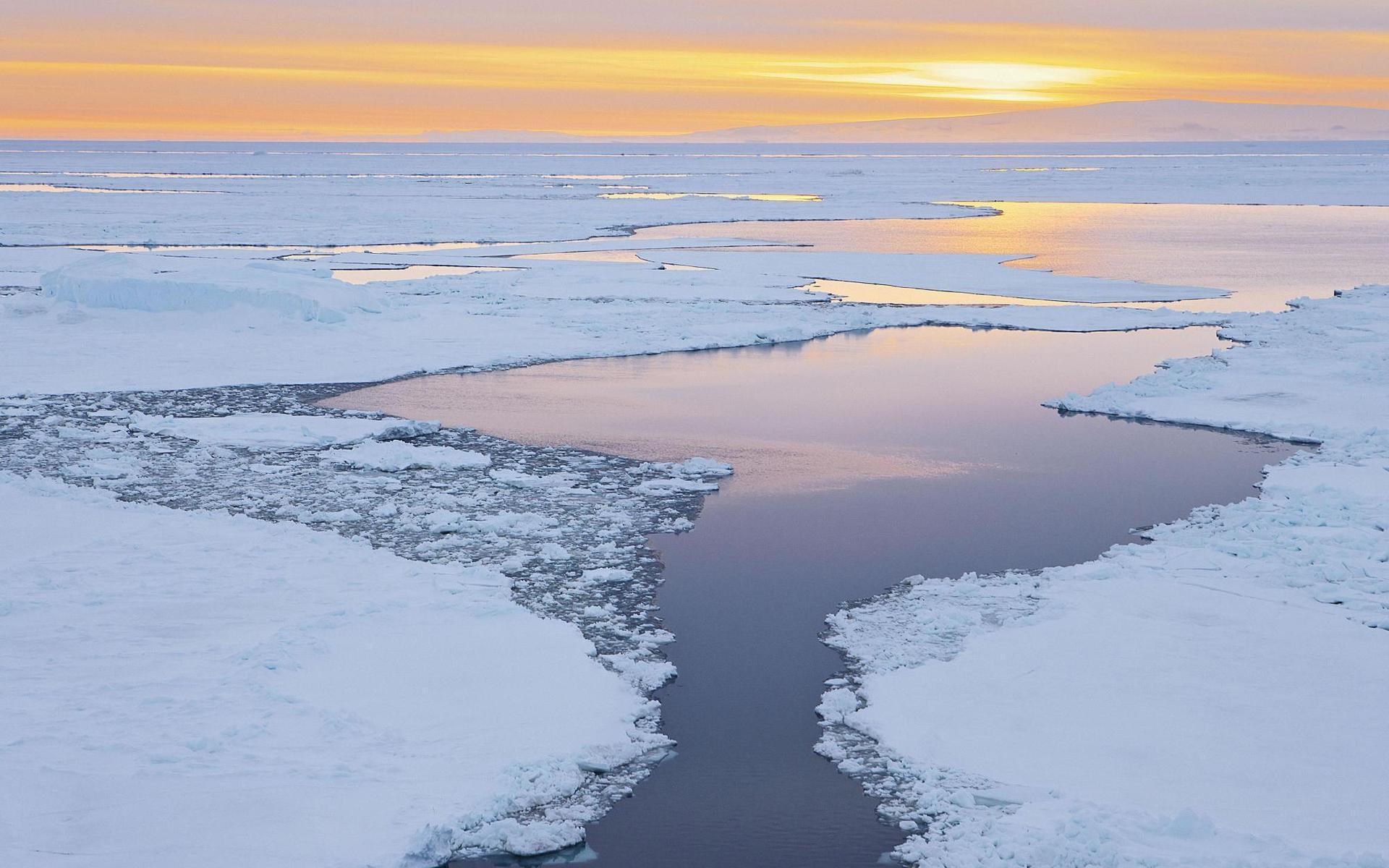Arctic ocean with ice floes at sunset HD Wallpaper