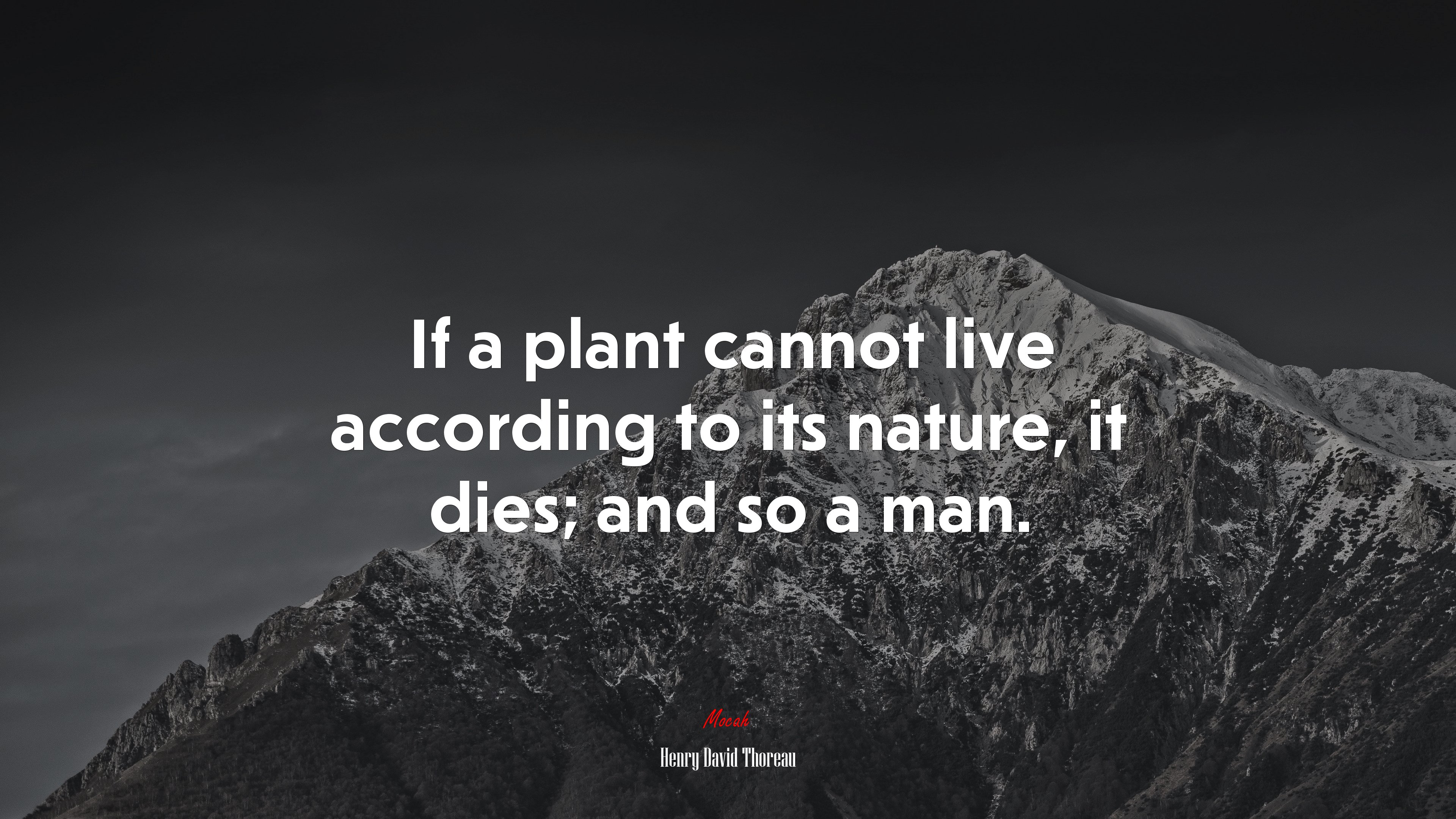 If a plant cannot live according to its nature, it dies; and so a man. | Henry David Thoreau quote HD Wallpaper