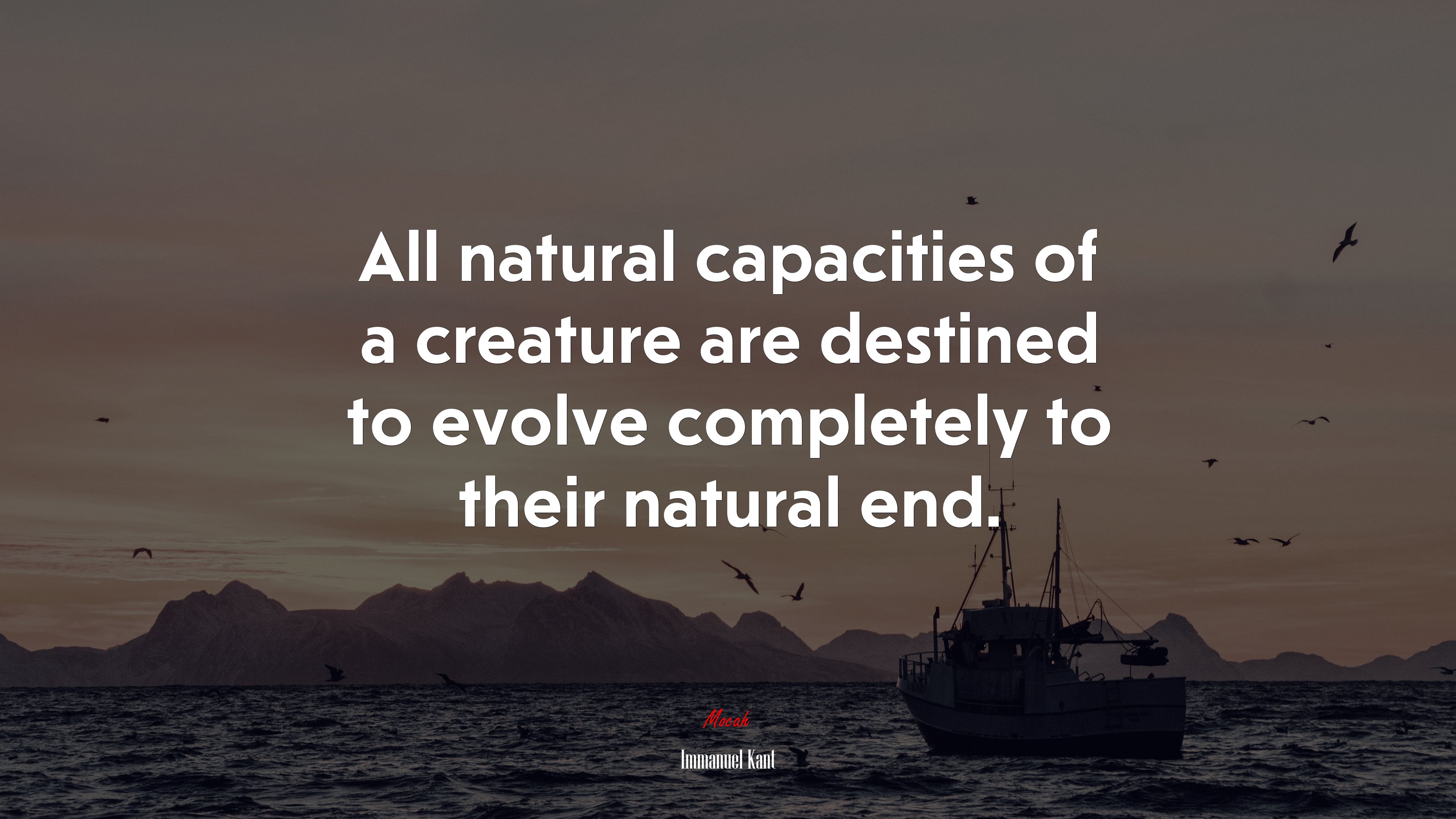 All natural capacities of a creature are destined to evolve completely to their natural end. | Immanuel Kant quote HD Wallpaper