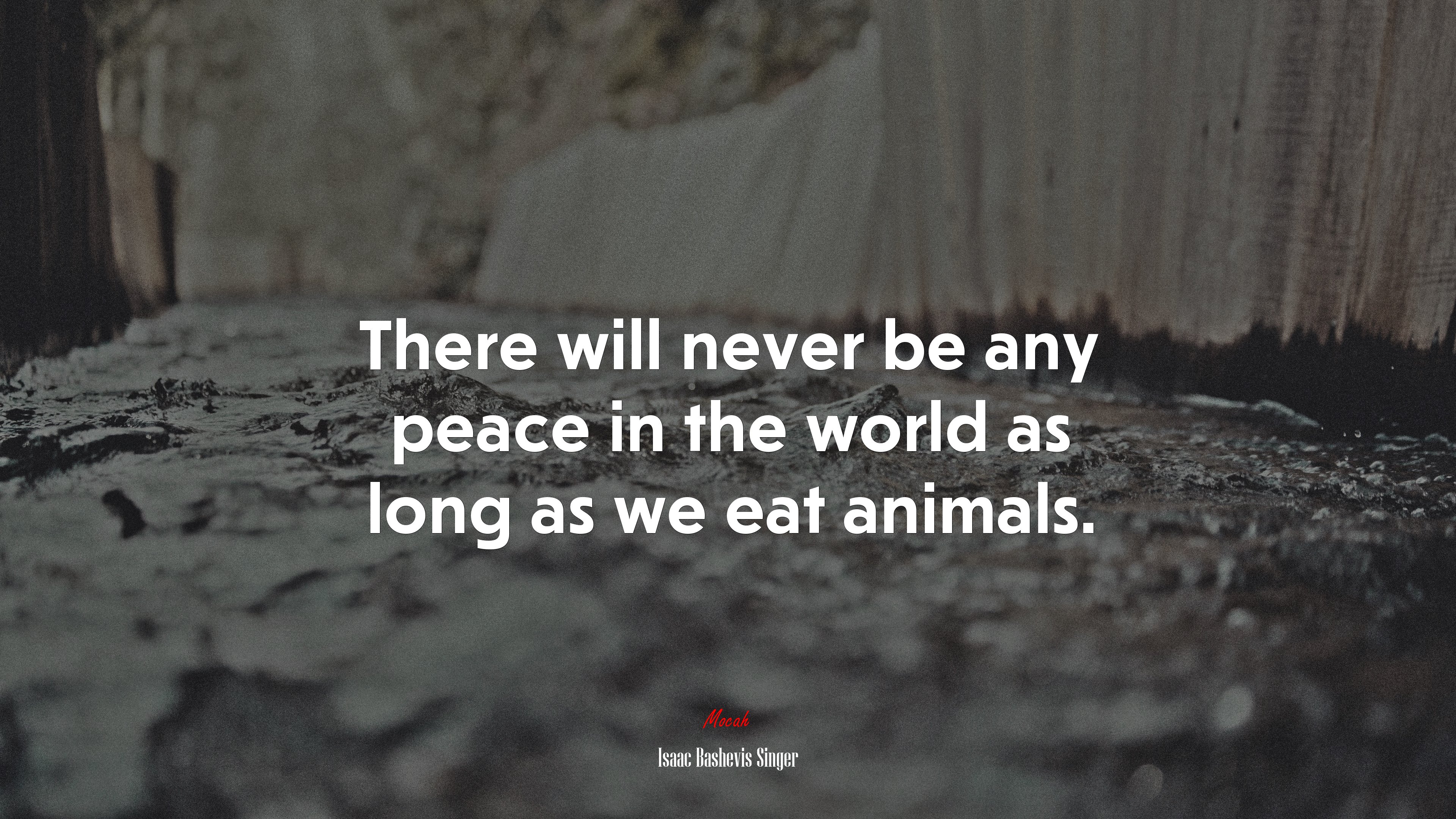 There will never be any peace in the world as long as we eat animals. | Isaac Bashevis Singer quote HD Wallpaper