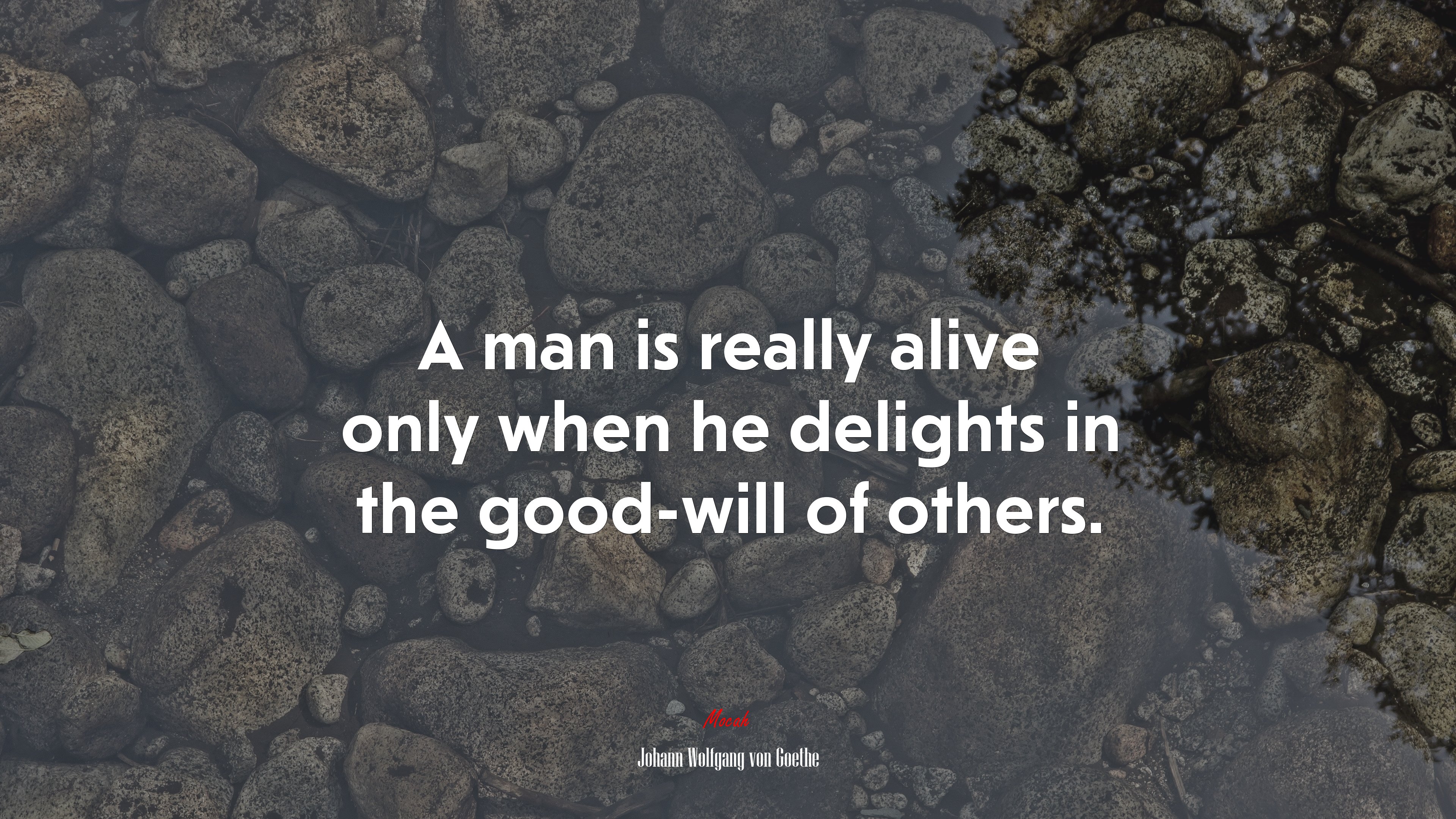 A man is really alive only when he delights in the good-will of others. | Johann Wolfgang von Goethe quote HD Wallpaper