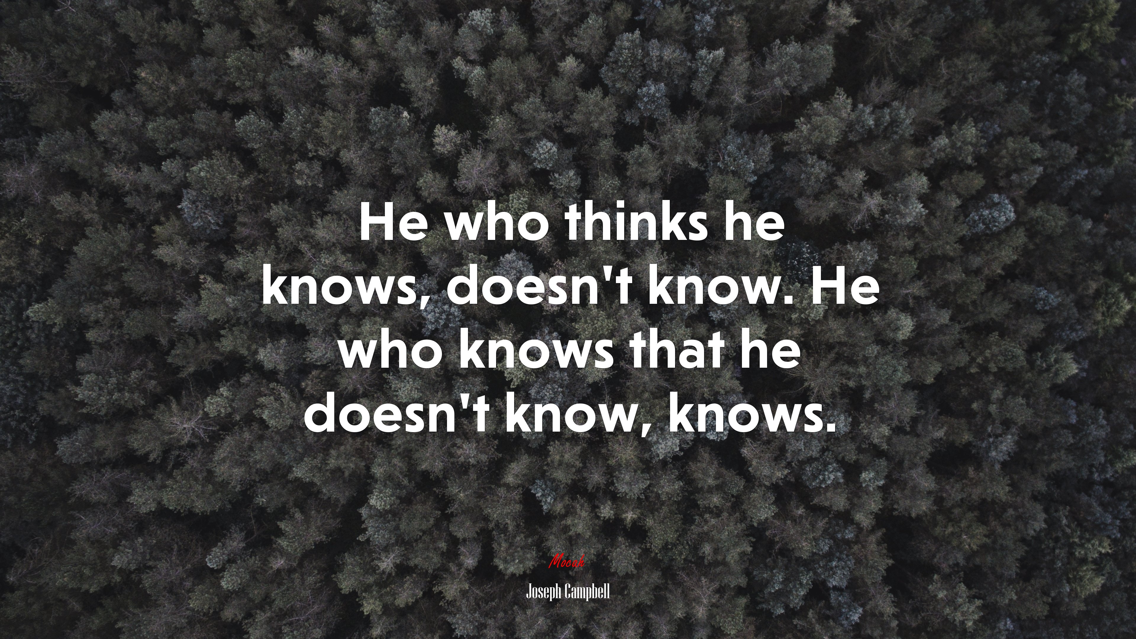 He who thinks he knows, doesn’t know. He who knows that he doesn’t know, knows. | Joseph Campbell quote HD Wallpaper