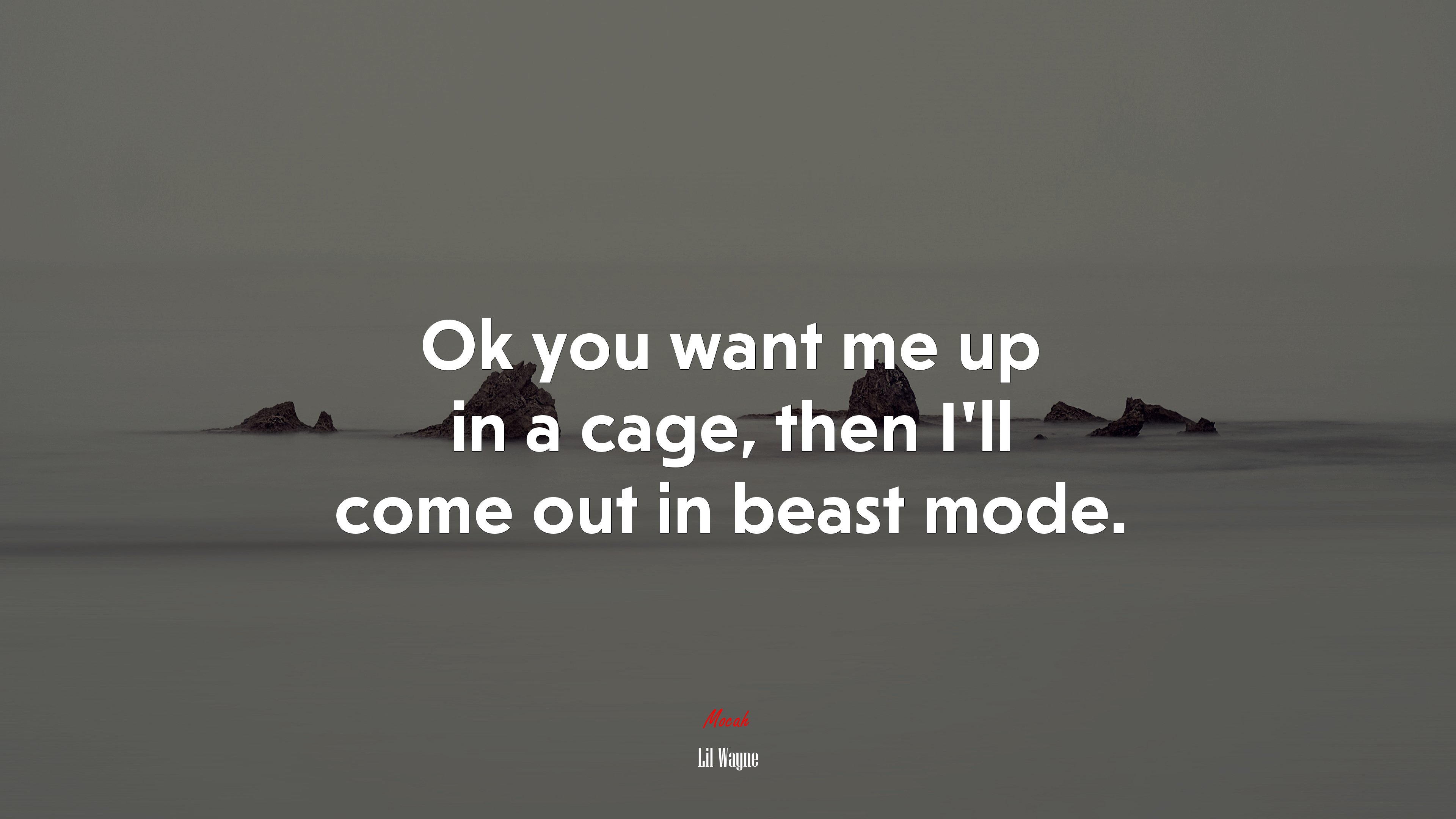 Ok you want me up in a cage, then I’ll come out in beast mode. | Lil Wayne quote HD Wallpaper