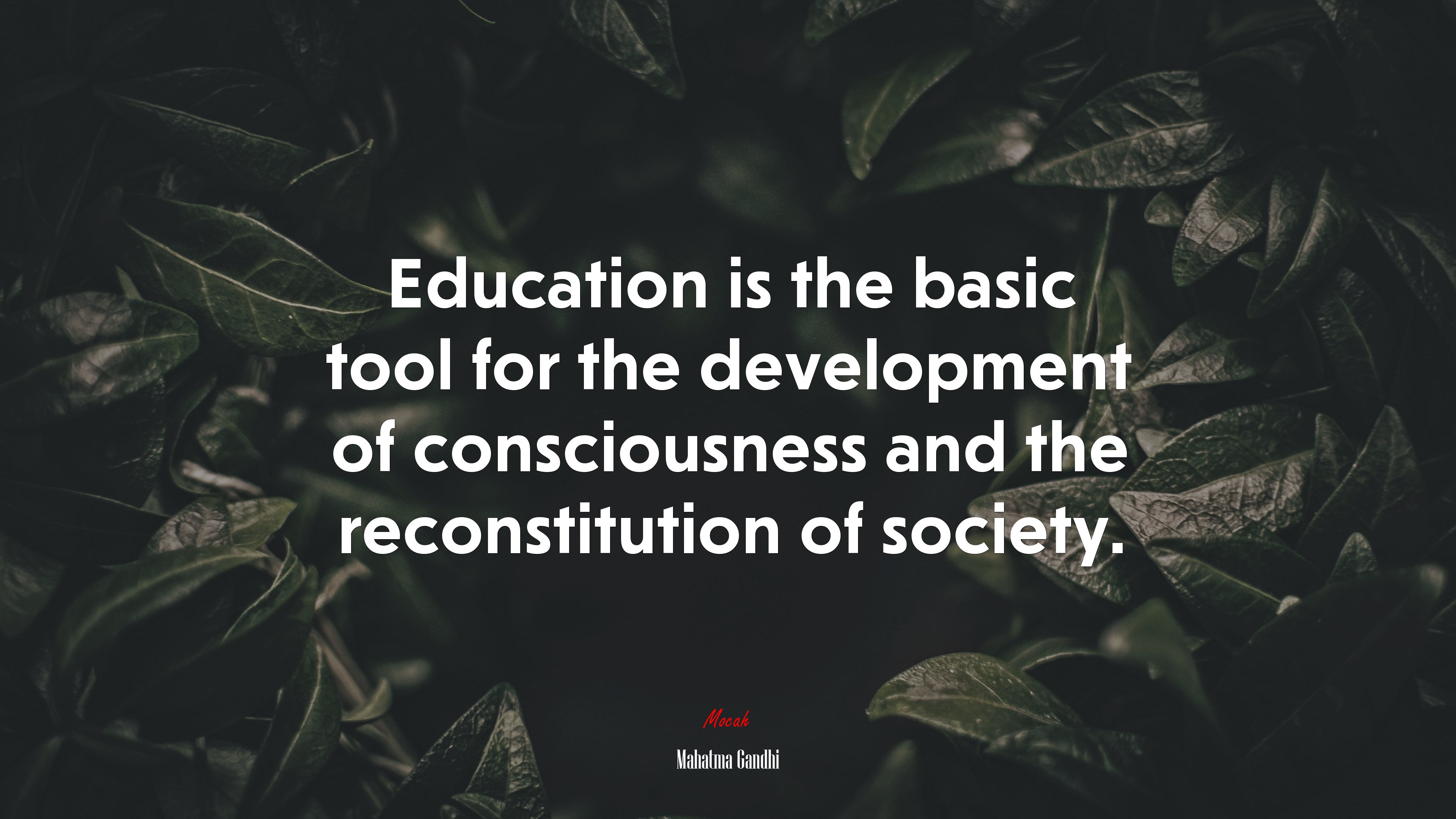 Education is the basic tool for the development of consciousness and the reconstitution of society. | Mahatma Gandhi quote HD Wallpaper