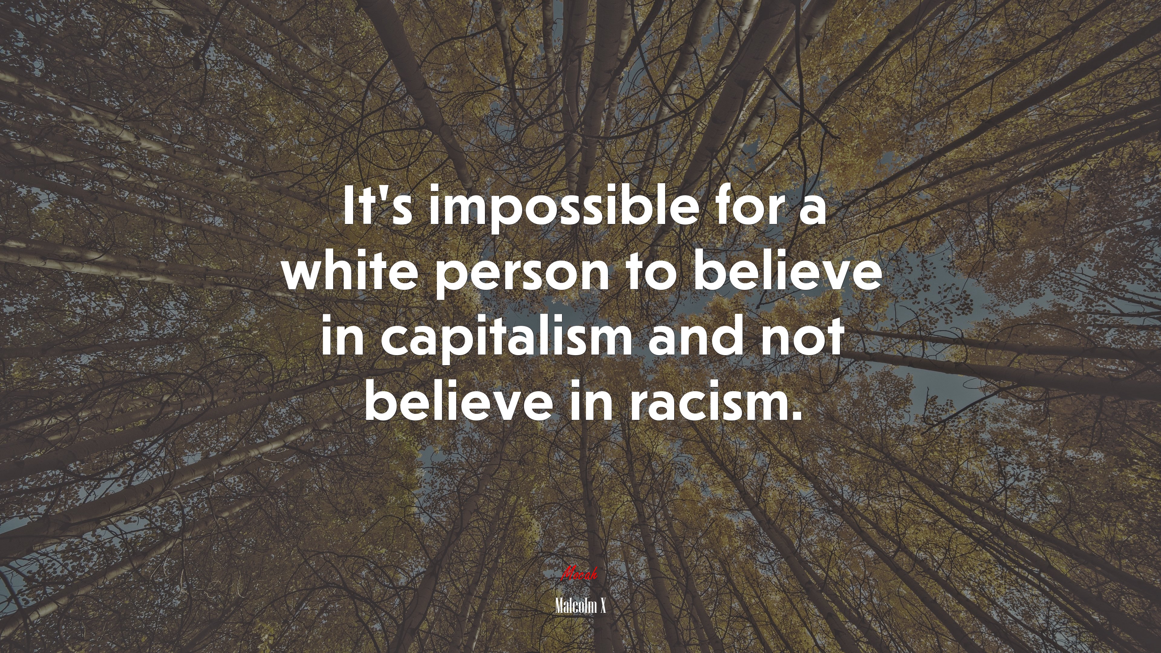 It’s impossible for a white person to believe in capitalism and not believe in racism. | Malcolm X quote HD Wallpaper