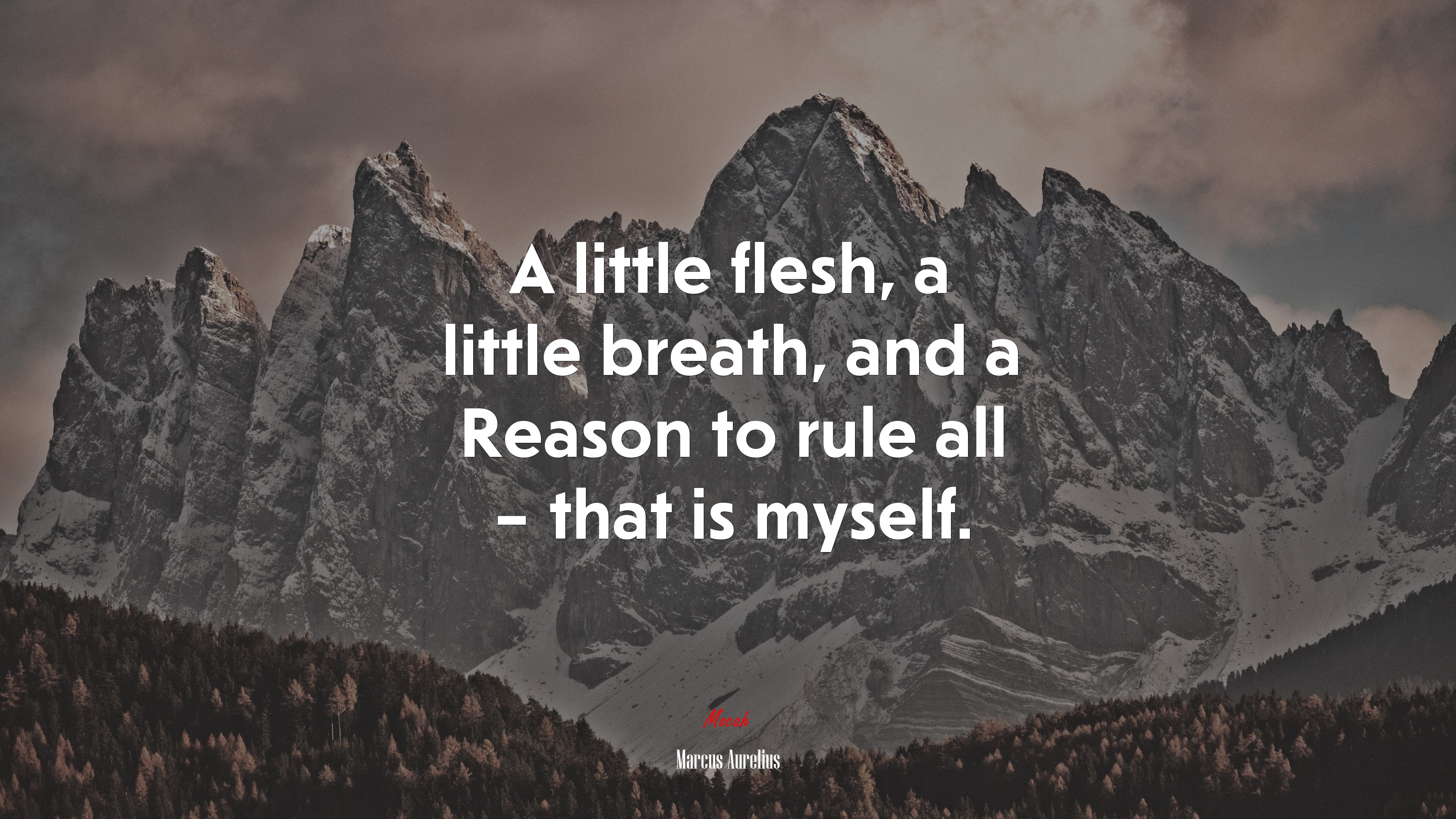 A little flesh, a little breath, and a Reason to rule all – that is myself. | Marcus Aurelius quote HD Wallpaper