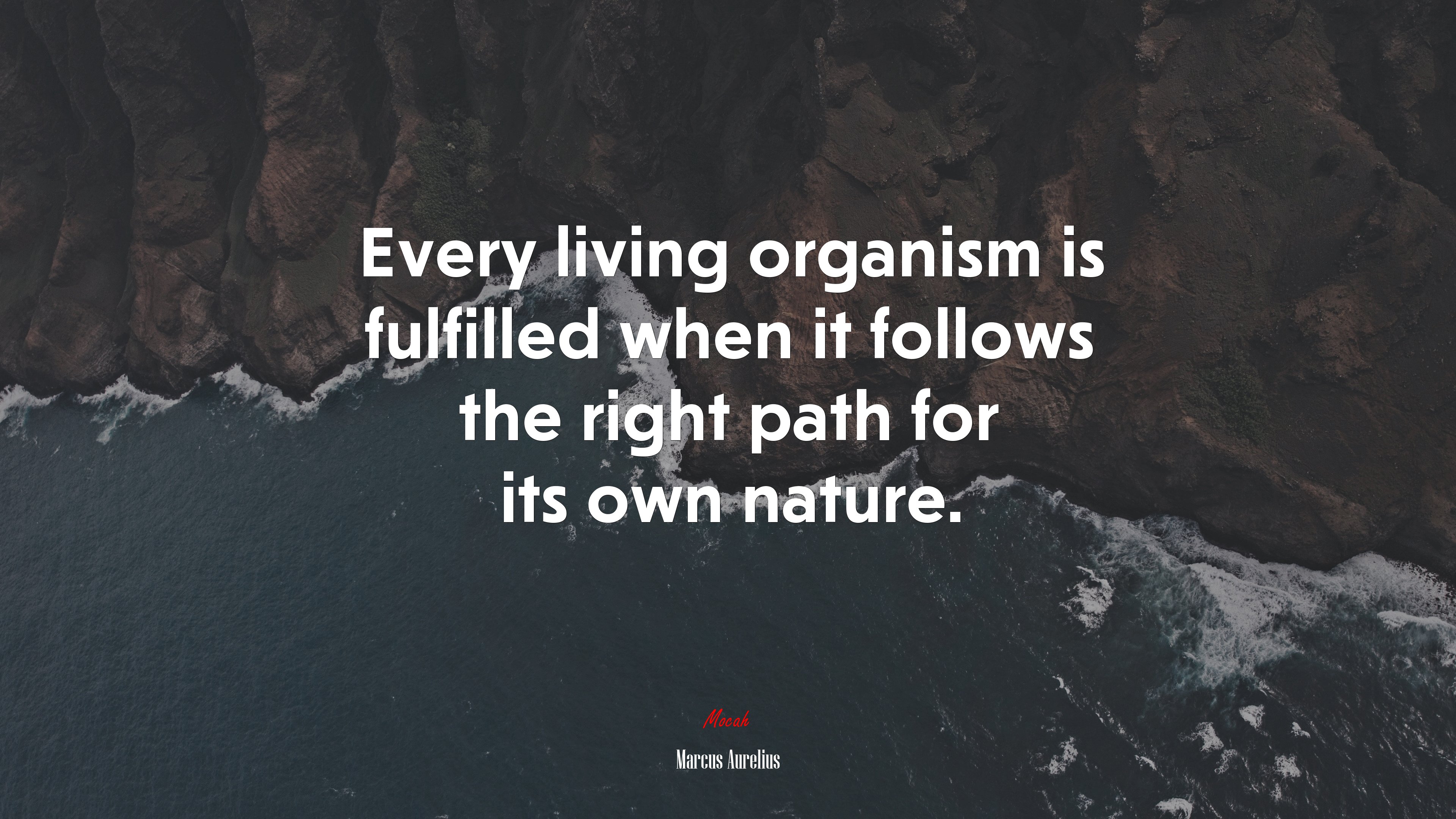 Every living organism is fulfilled when it follows the right path for its own nature. | Marcus Aurelius quote HD Wallpaper