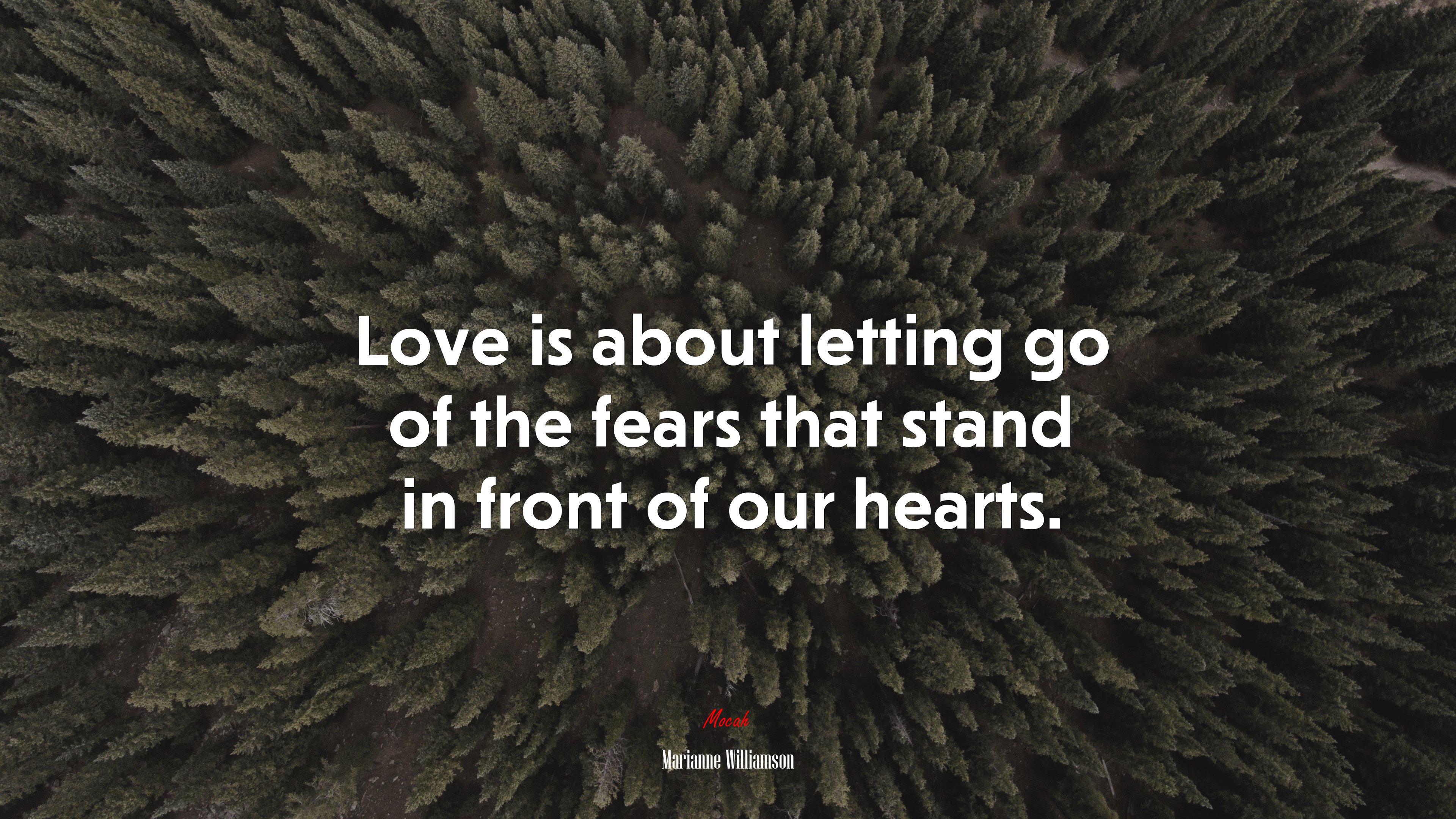 Love is about letting go of the fears that stand in front of our hearts. | Marianne Williamson quote HD Wallpaper