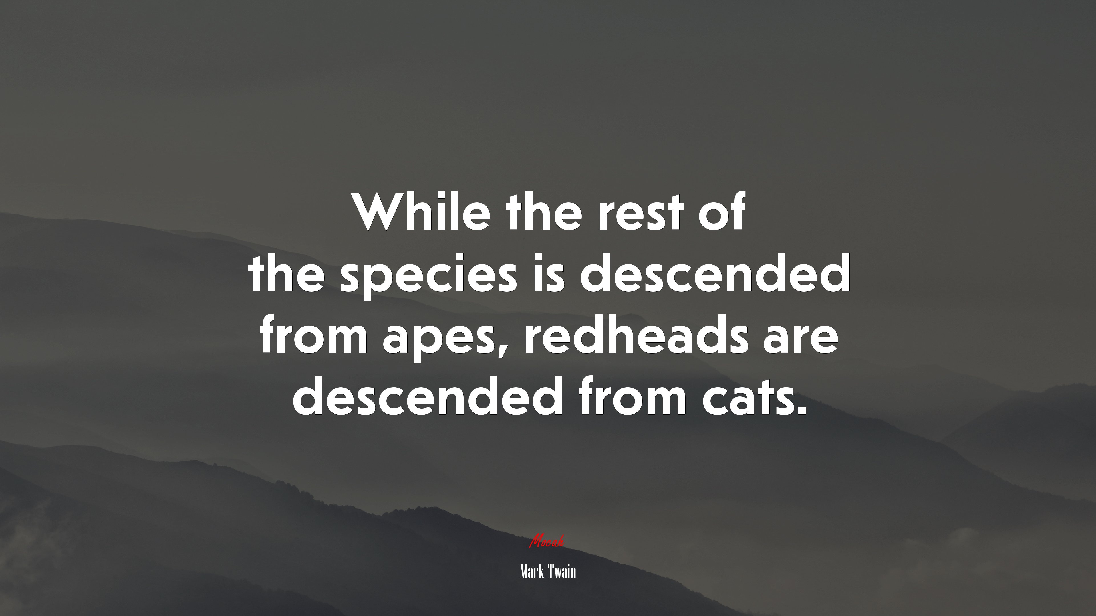 While the rest of the species is descended from apes, redheads are descended from cats. | Mark Twain quote HD Wallpaper