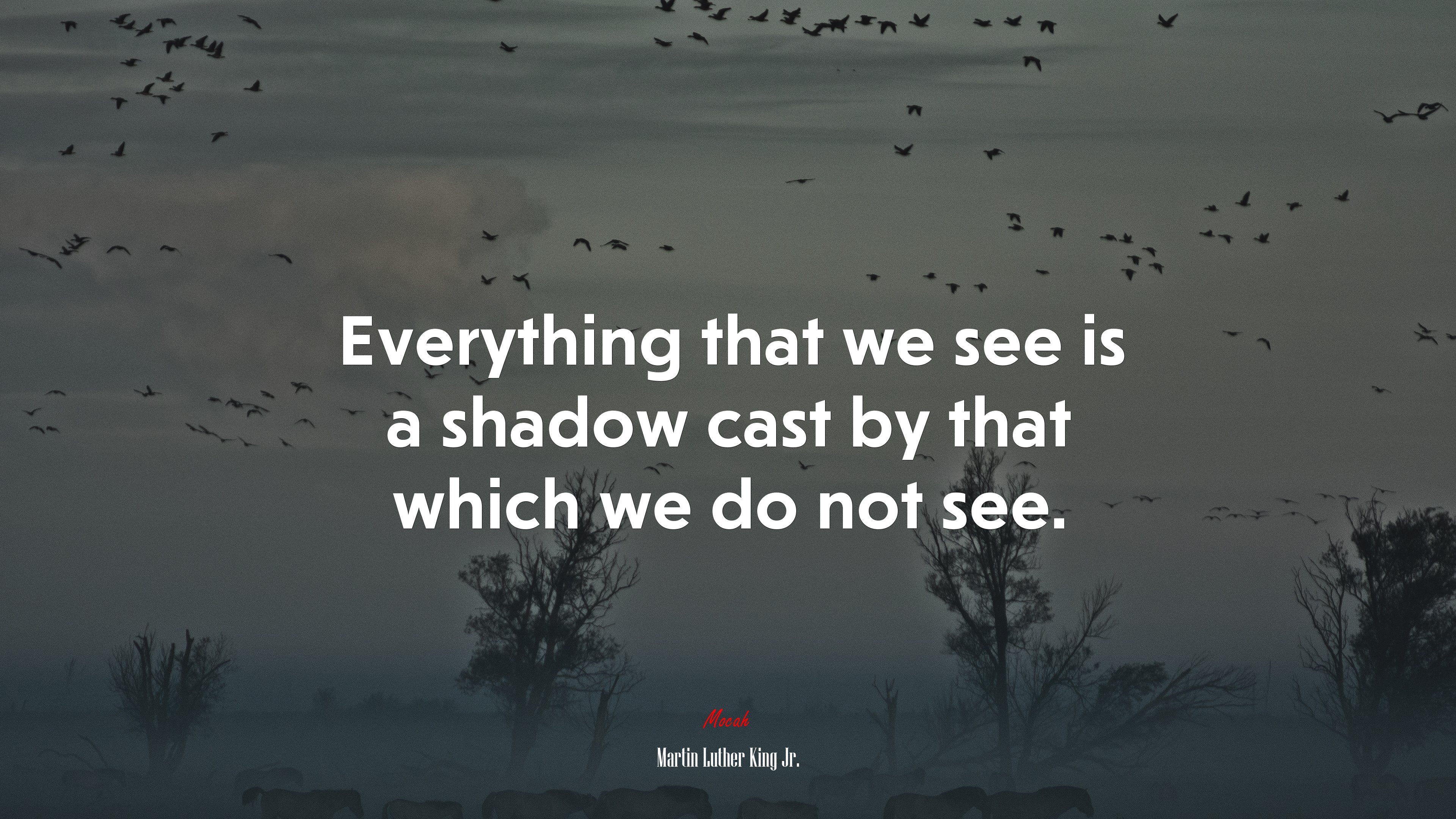 Everything that we see is a shadow cast by that which we do not see. | Martin Luther King Jr. quote HD Wallpaper