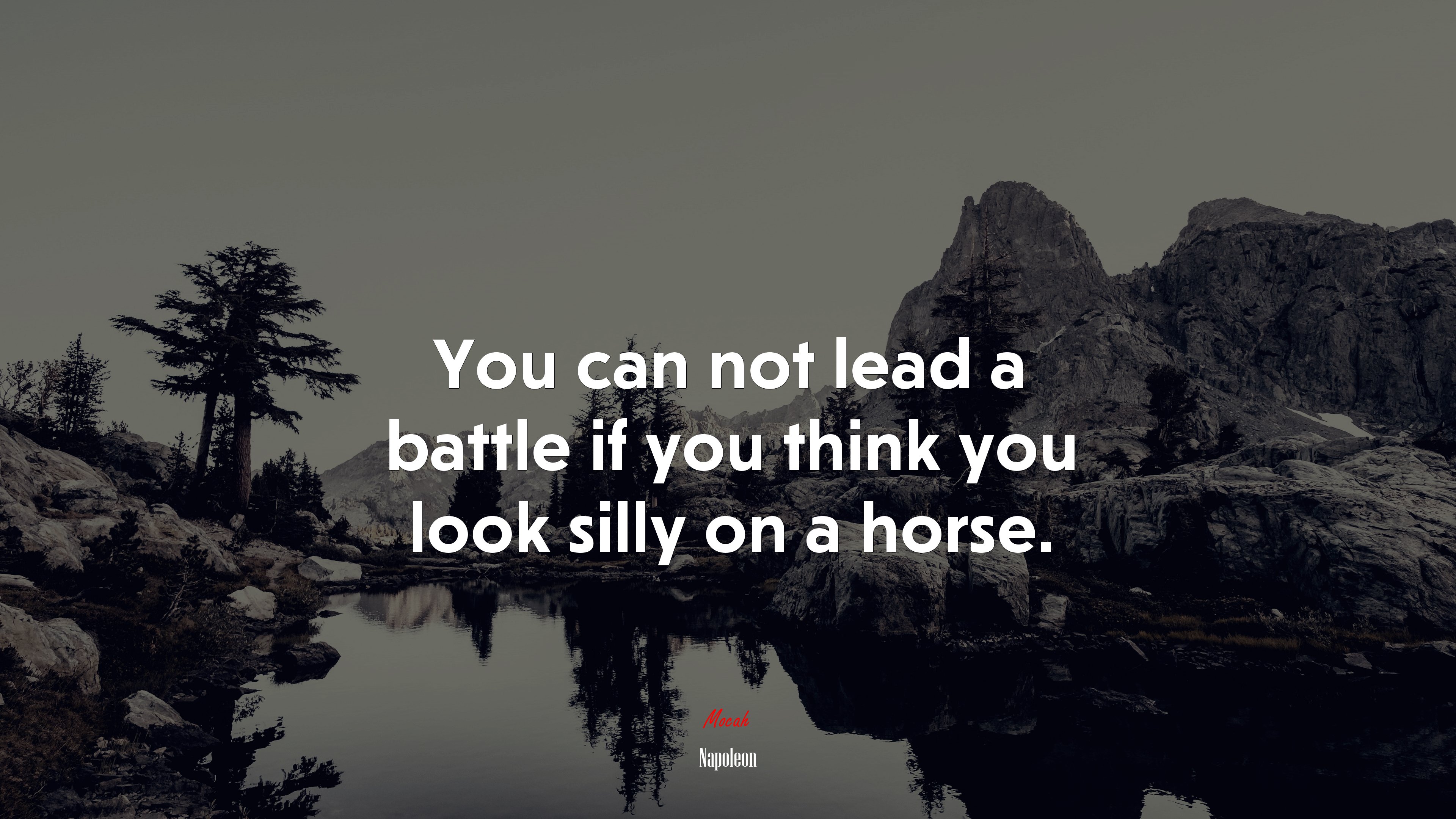 You can not lead a battle if you think you look silly on a horse. | Napoleon quote HD Wallpaper