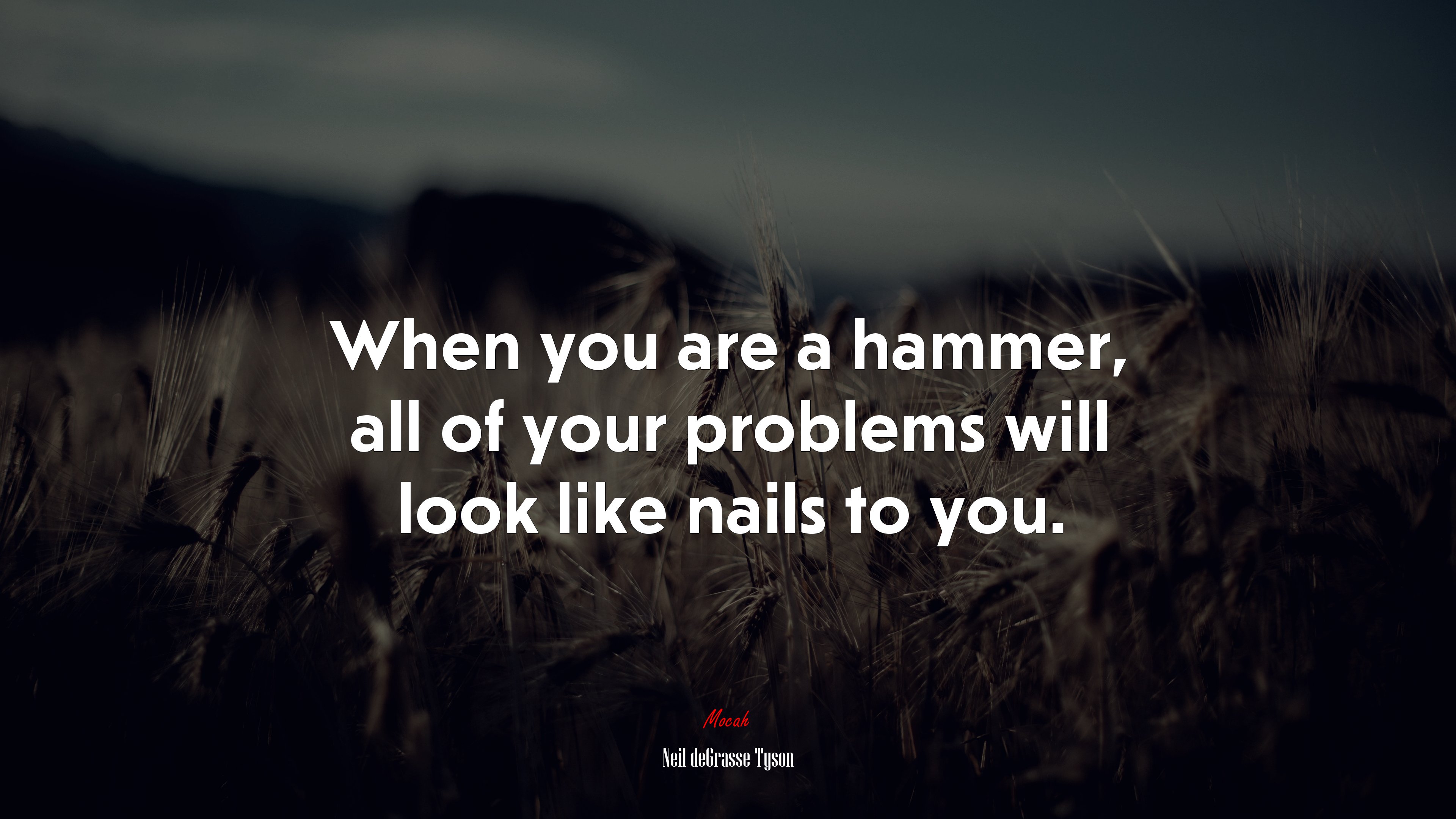 When you are a hammer, all of your problems will look like nails to you. | Neil deGrasse Tyson quote HD Wallpaper