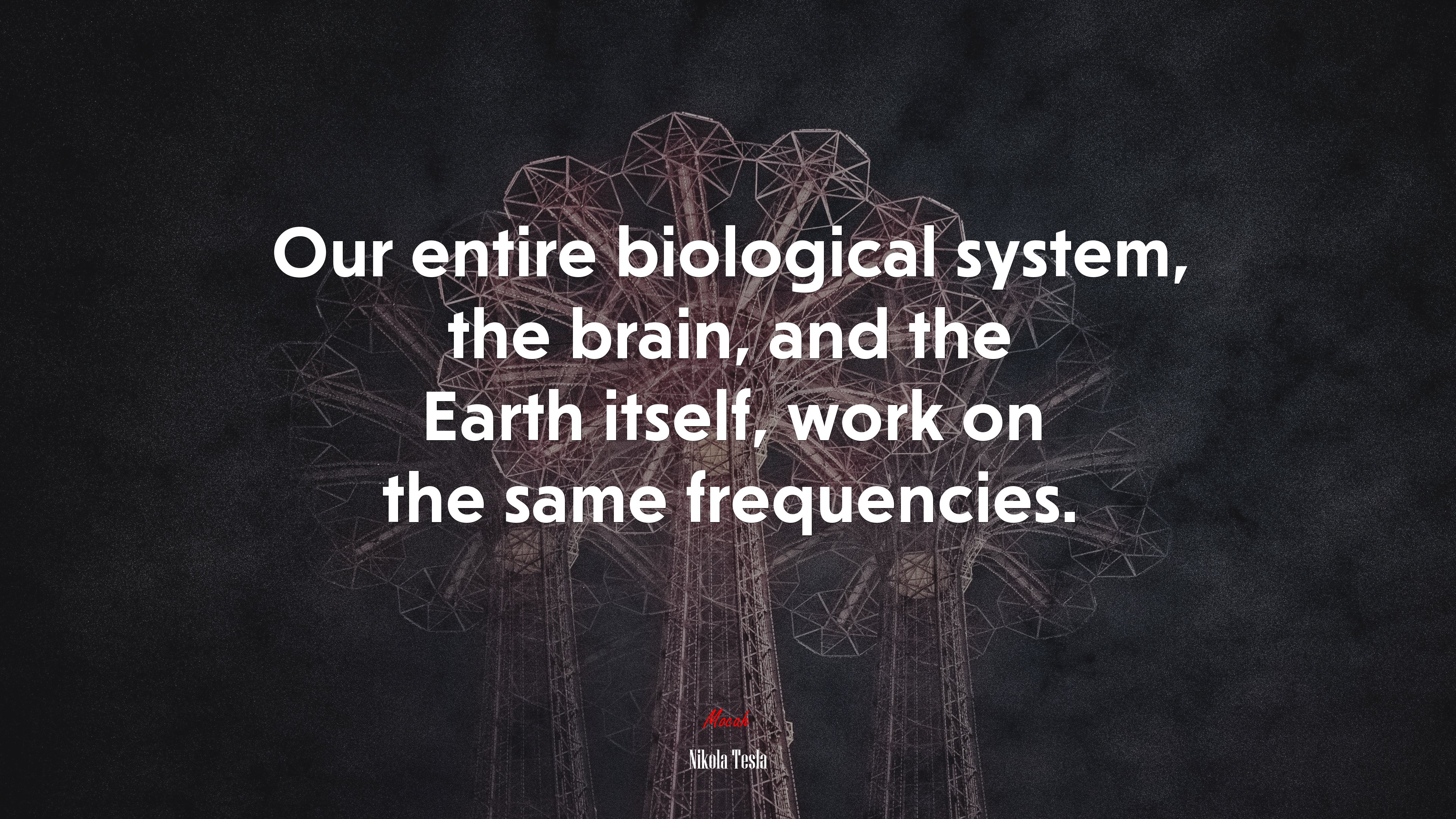 Our entire biological system, the brain, and the Earth itself, work on the same frequencies. | Nikola Tesla quote HD Wallpaper