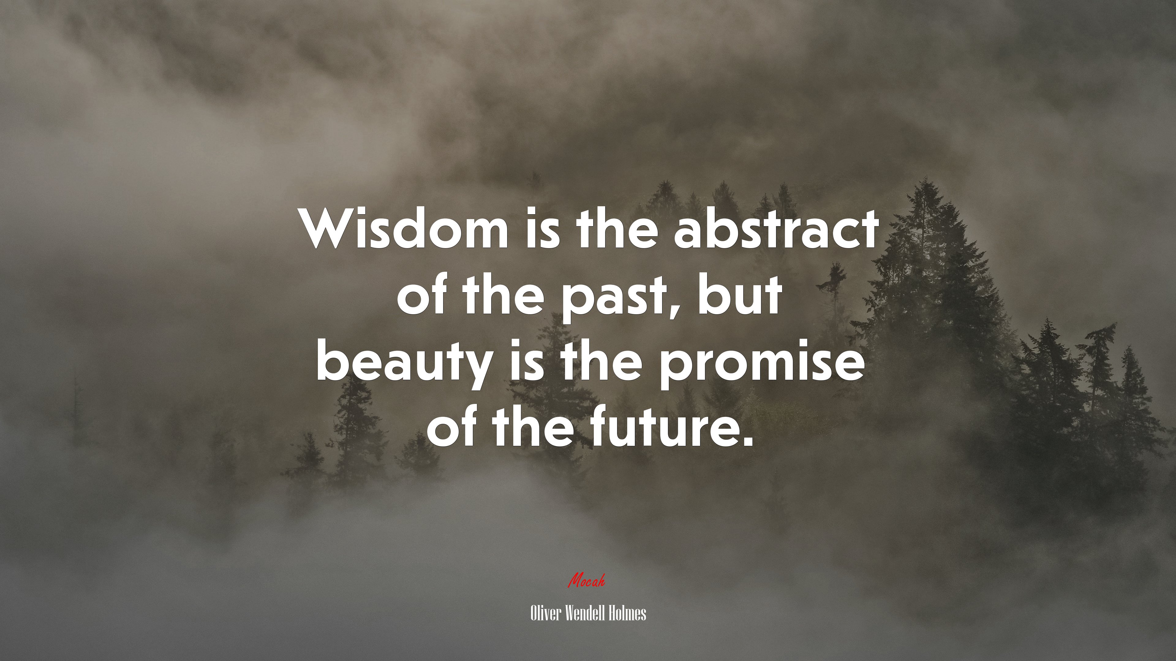 Wisdom is the abstract of the past, but beauty is the promise of the future. | Oliver Wendell Holmes quote HD Wallpaper
