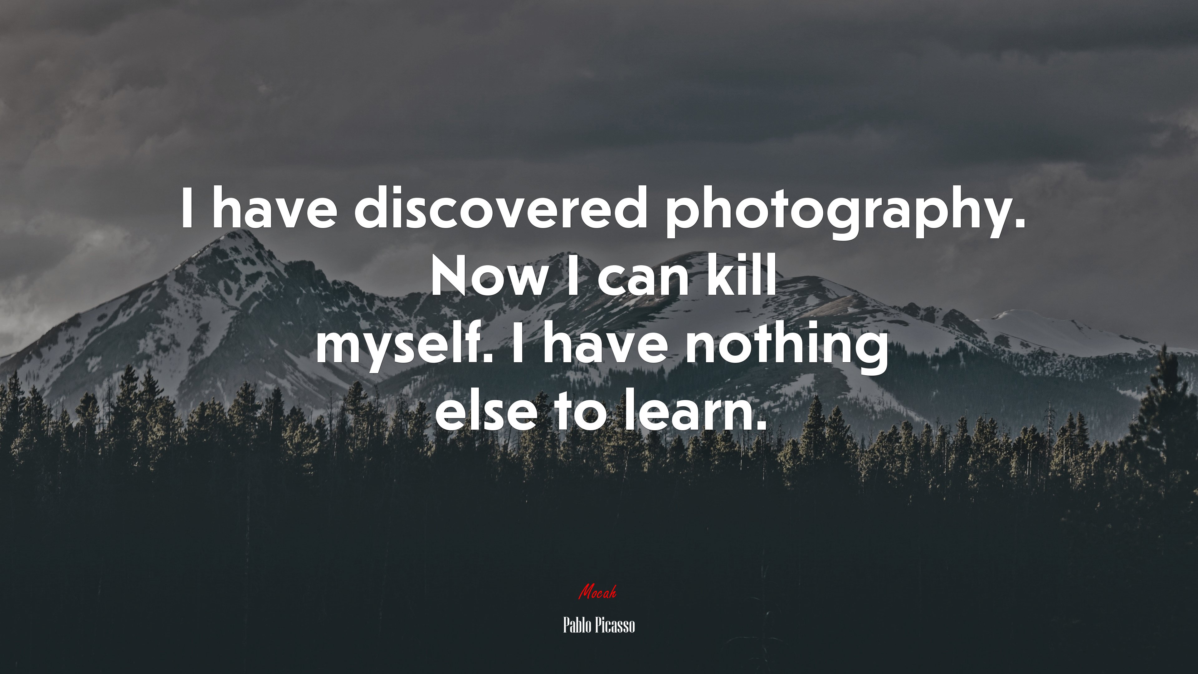 I have discovered photography. Now I can kill myself. I have nothing else to learn. | Pablo Picasso quote HD Wallpaper