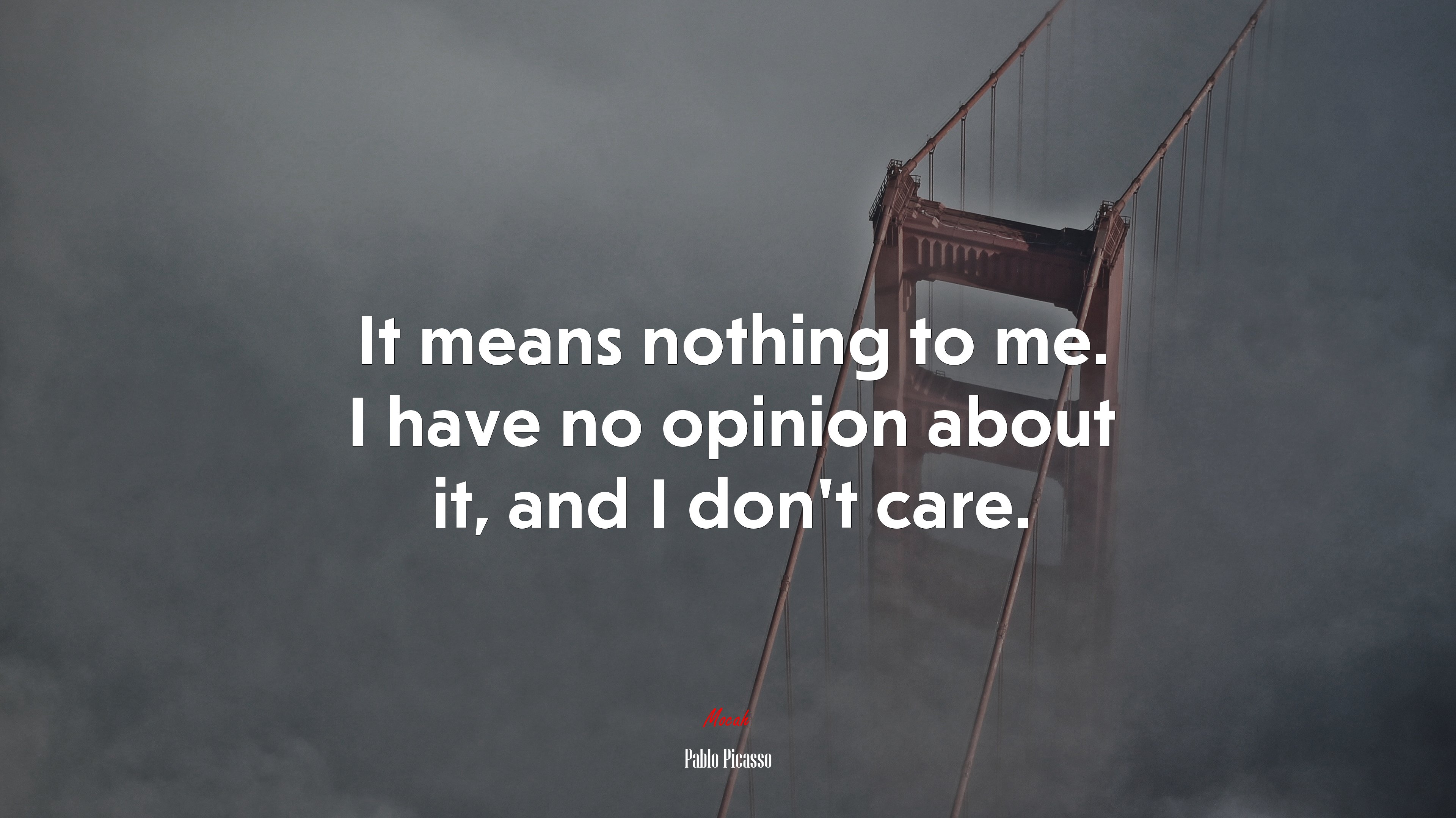 It means nothing to me. I have no opinion about it, and I don’t care. | Pablo Picasso quote HD Wallpaper