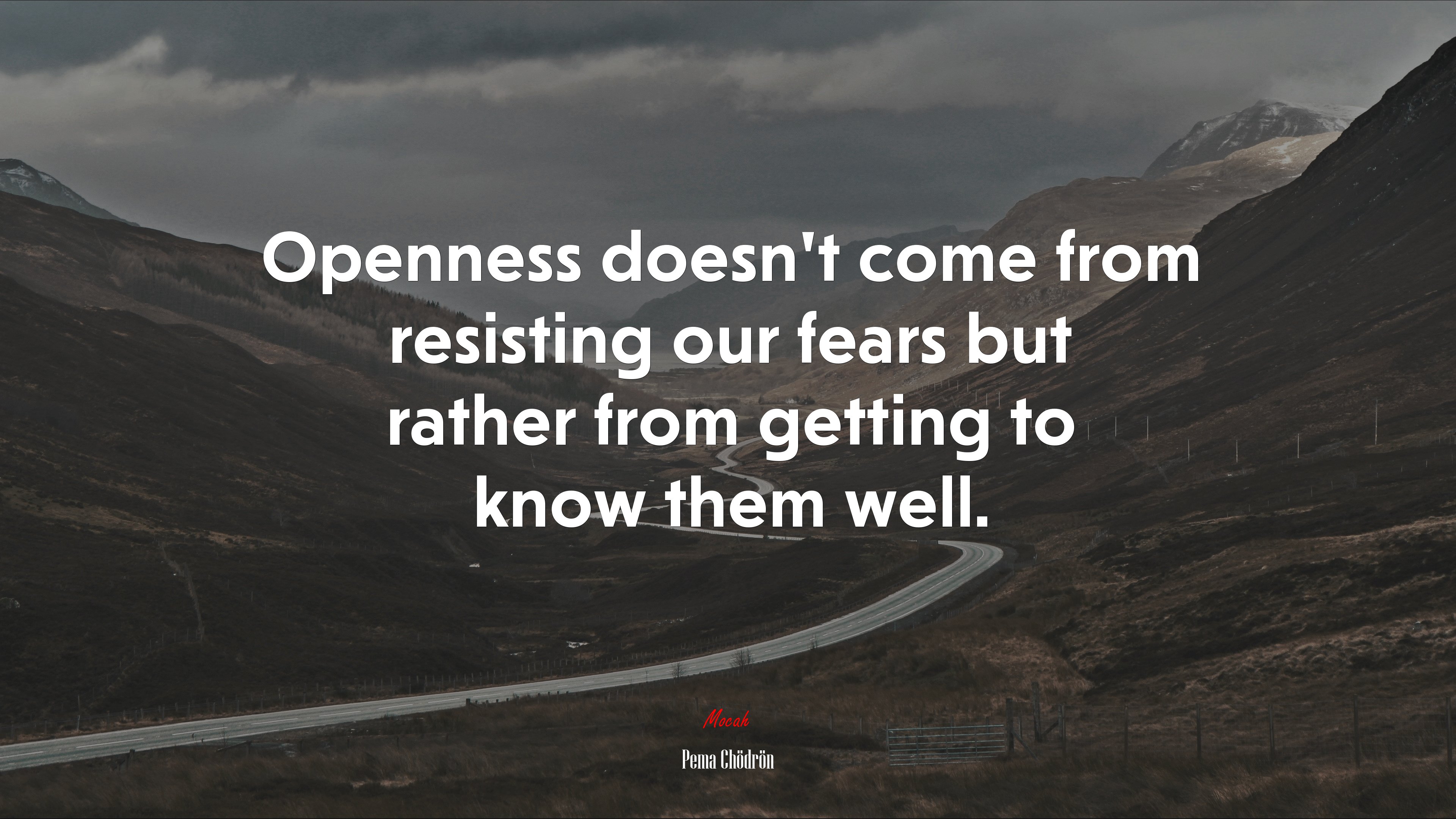Openness doesn’t come from resisting our fears but rather from getting to know them well. | Pema Chödrön quote HD Wallpaper