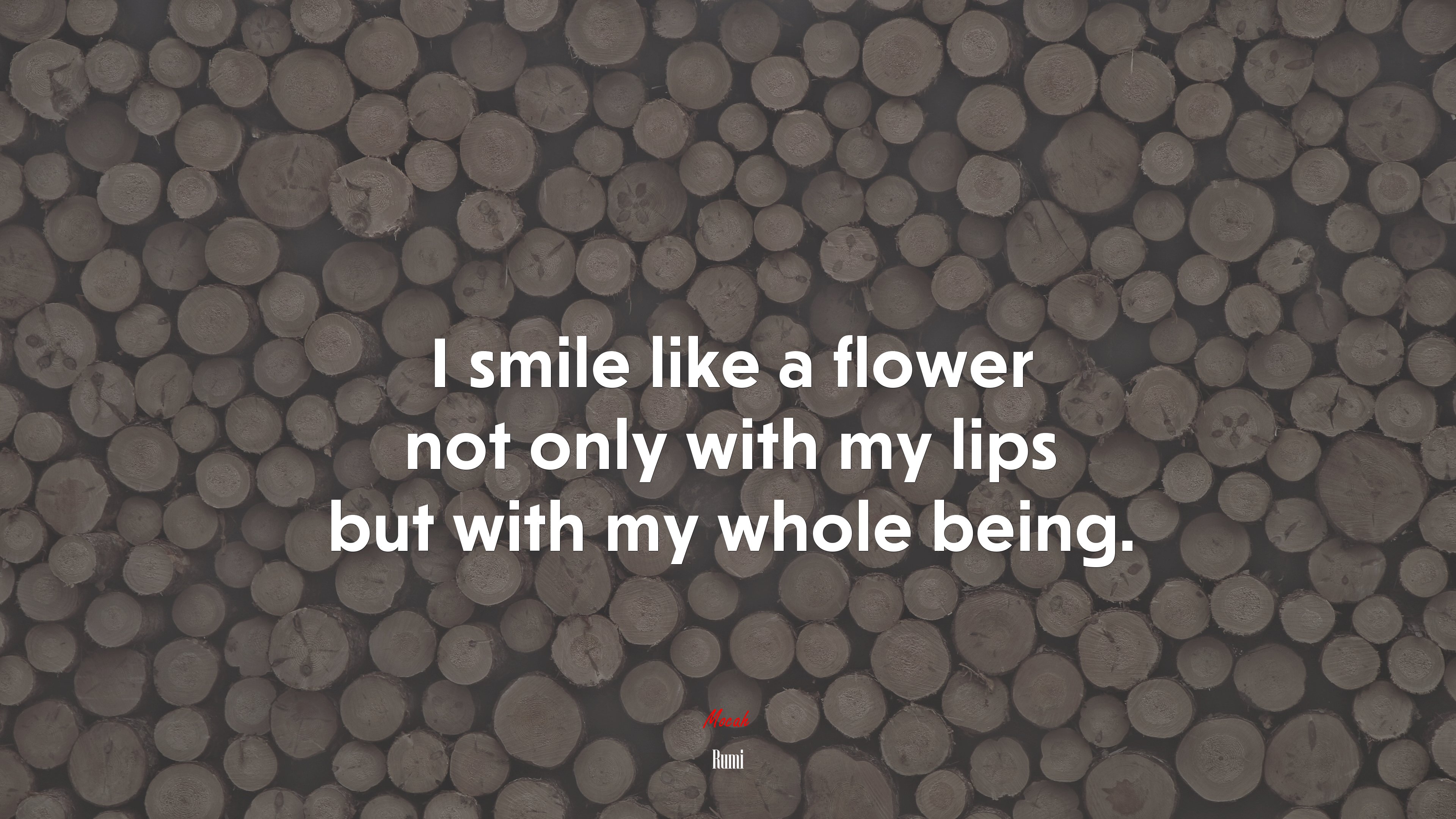 I smile like a flower not only with my lips but with my whole being. | Rumi quote HD Wallpaper