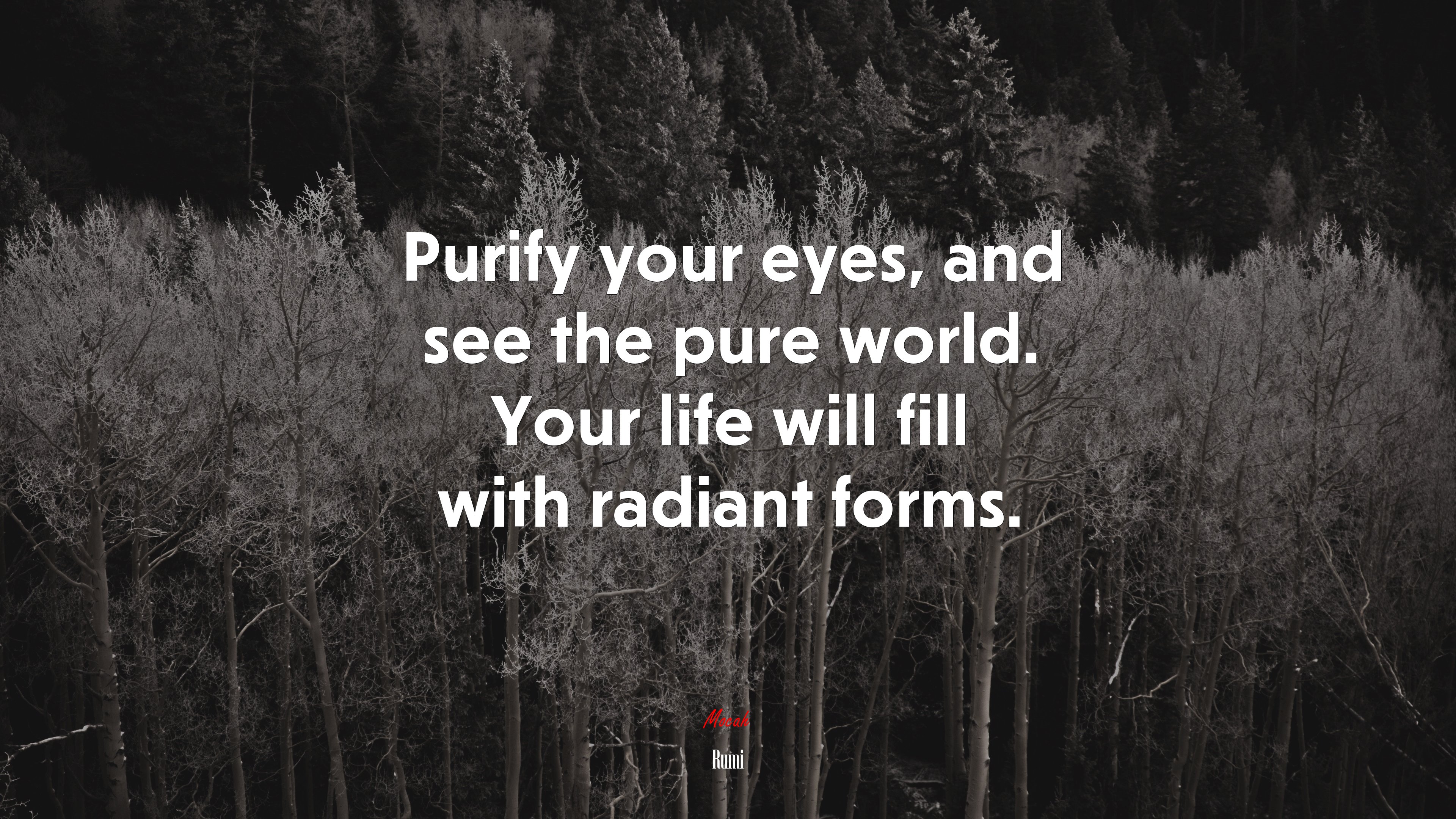 Purify your eyes, and see the pure world. Your life will fill with radiant forms. | Rumi quote HD Wallpaper