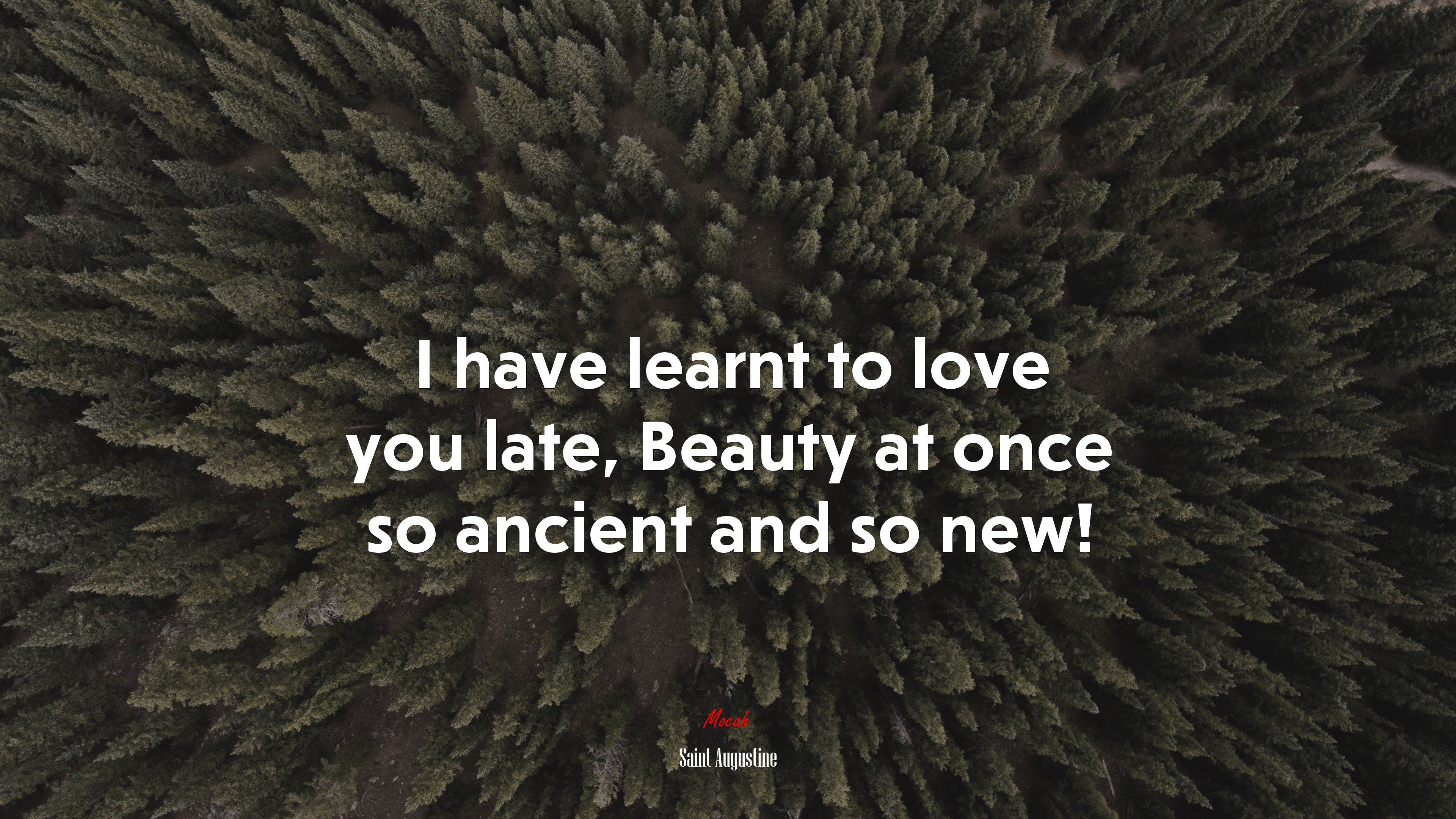 I have learnt to love you late, Beauty at once so ancient and so new! | Saint Augustine quote HD Wallpaper