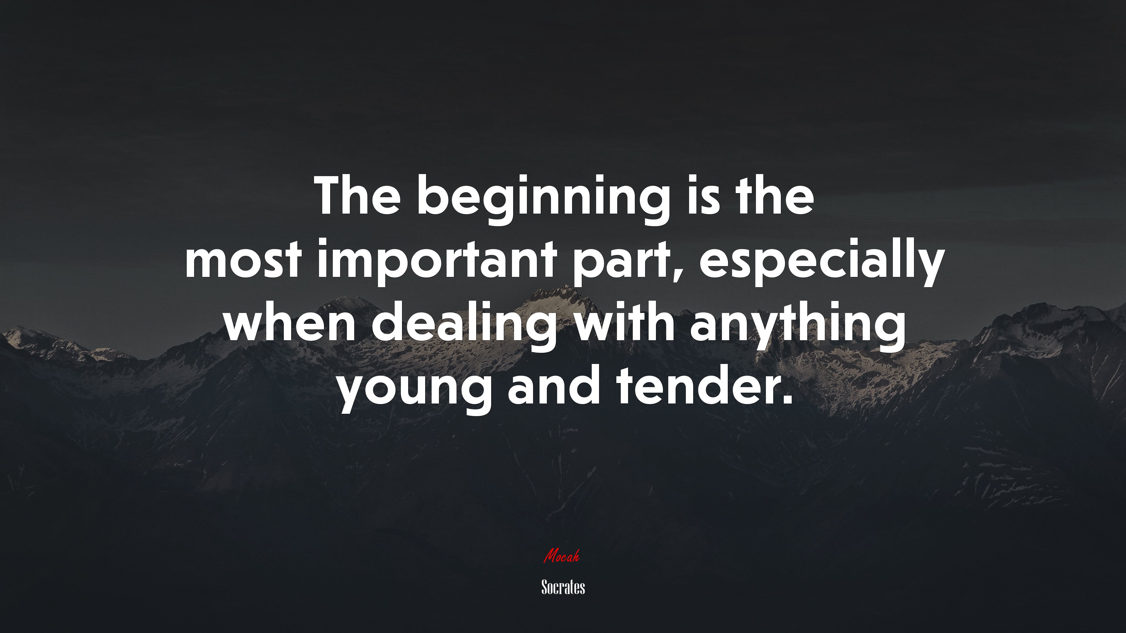 The beginning is the most important part, especially when dealing with anything young and tender. | Socrates quote HD Wallpaper