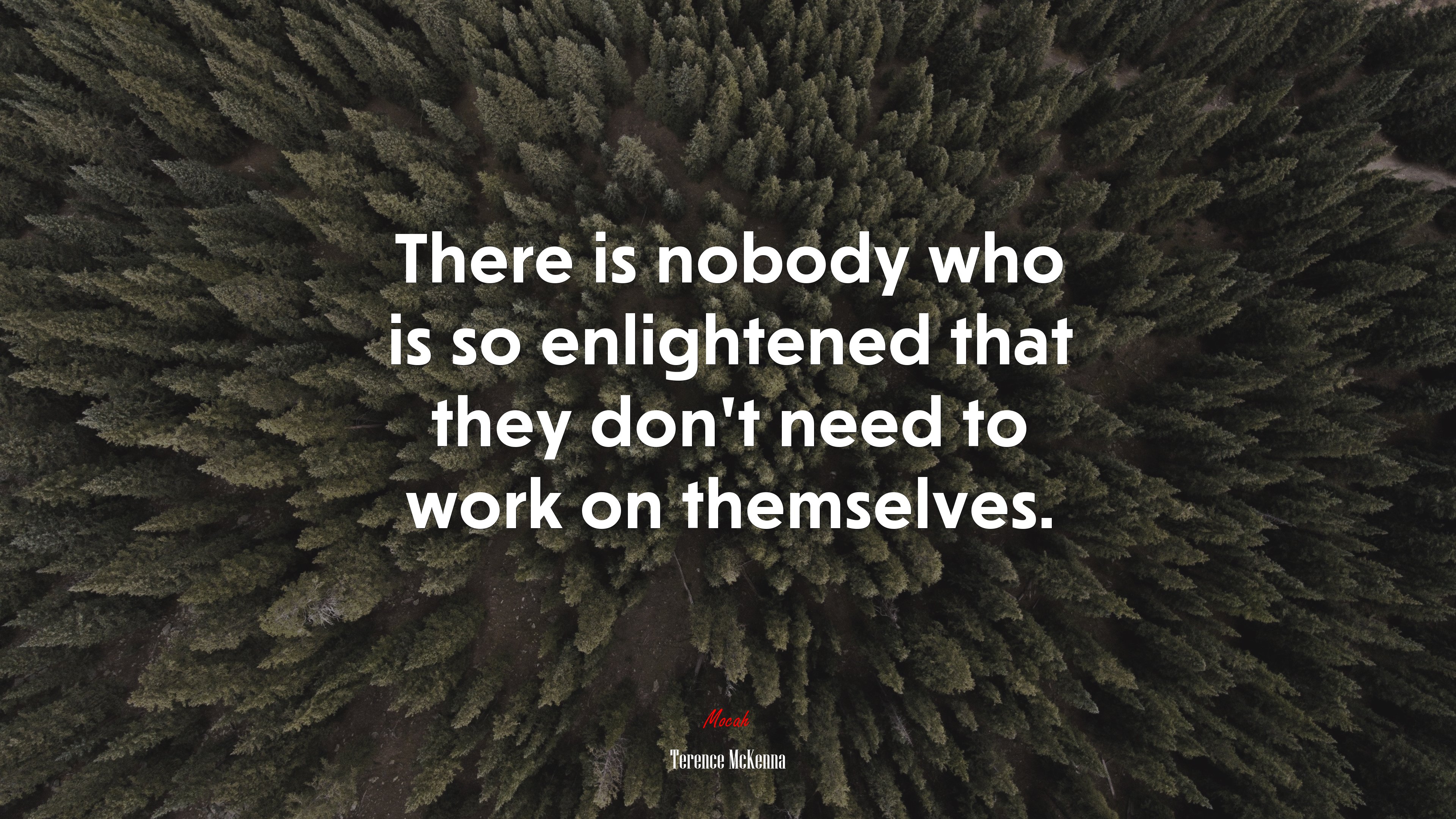There is nobody who is so enlightened that they don’t need to work on themselves. | Terence McKenna quote HD Wallpaper