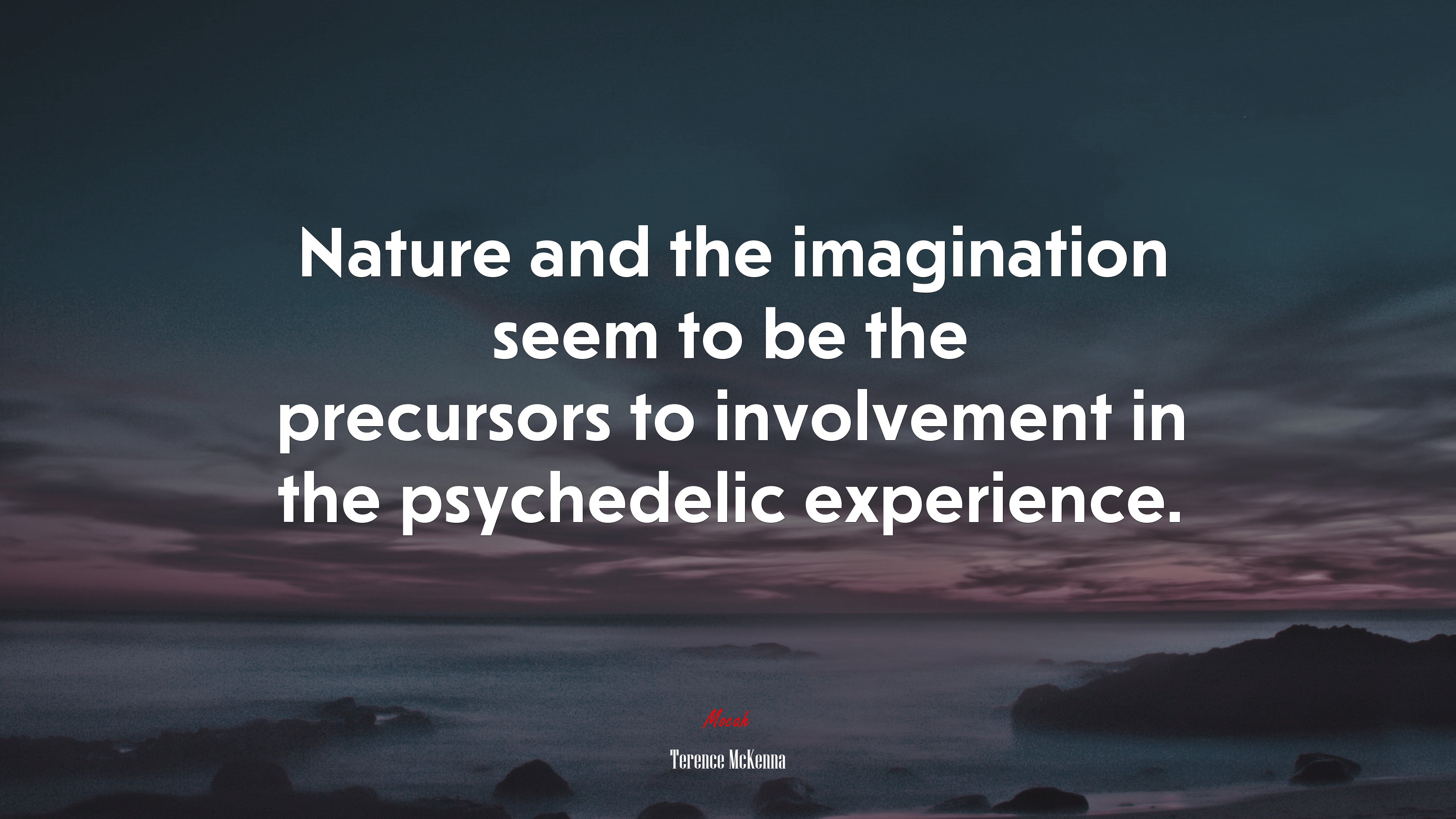 Nature and the imagination seem to be the precursors to involvement in the psychedelic experience. | Terence McKenna quote HD Wallpaper