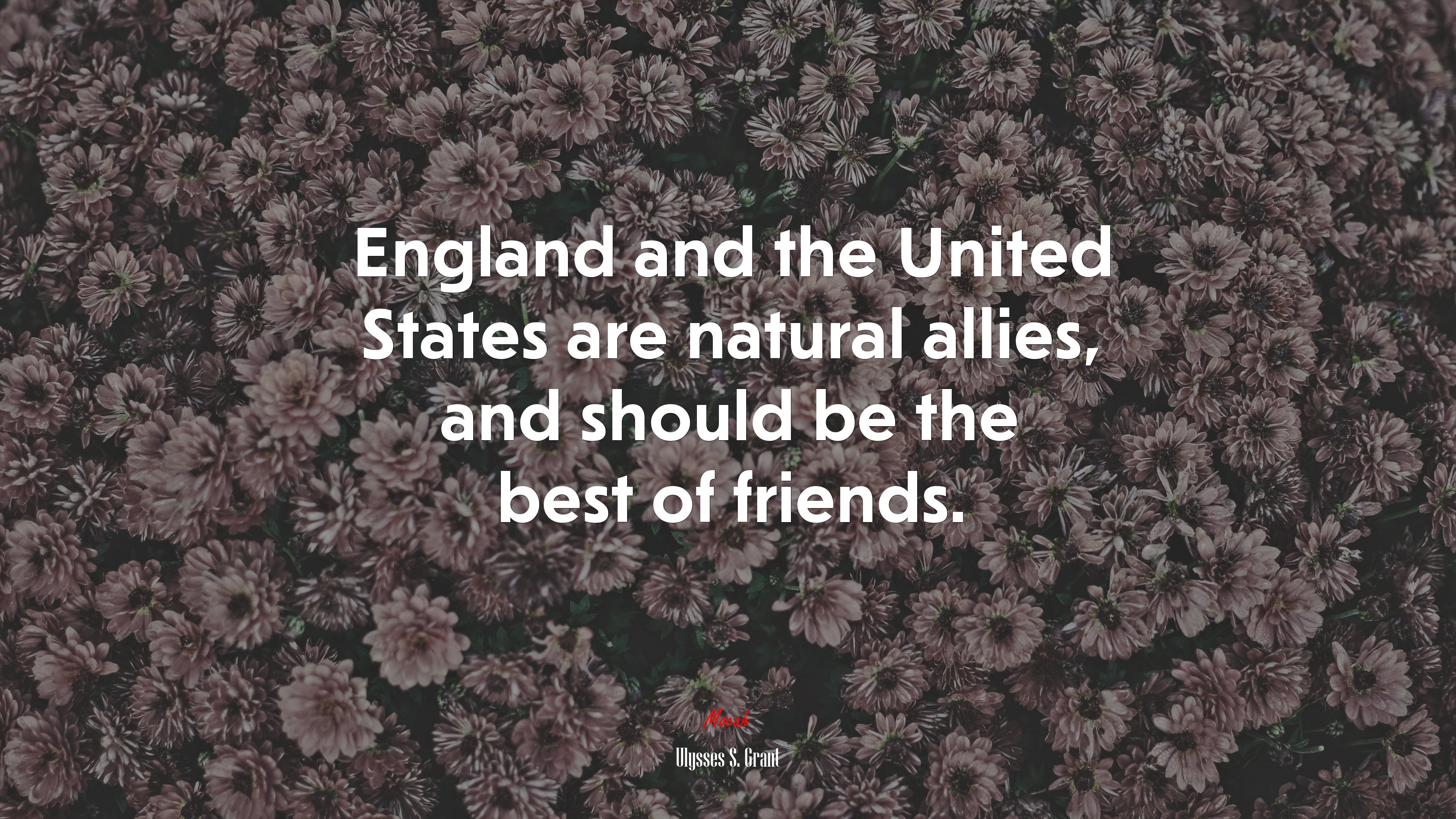 England and the United States are natural allies, and should be the best of friends. | Ulysses S. Grant quote HD Wallpaper