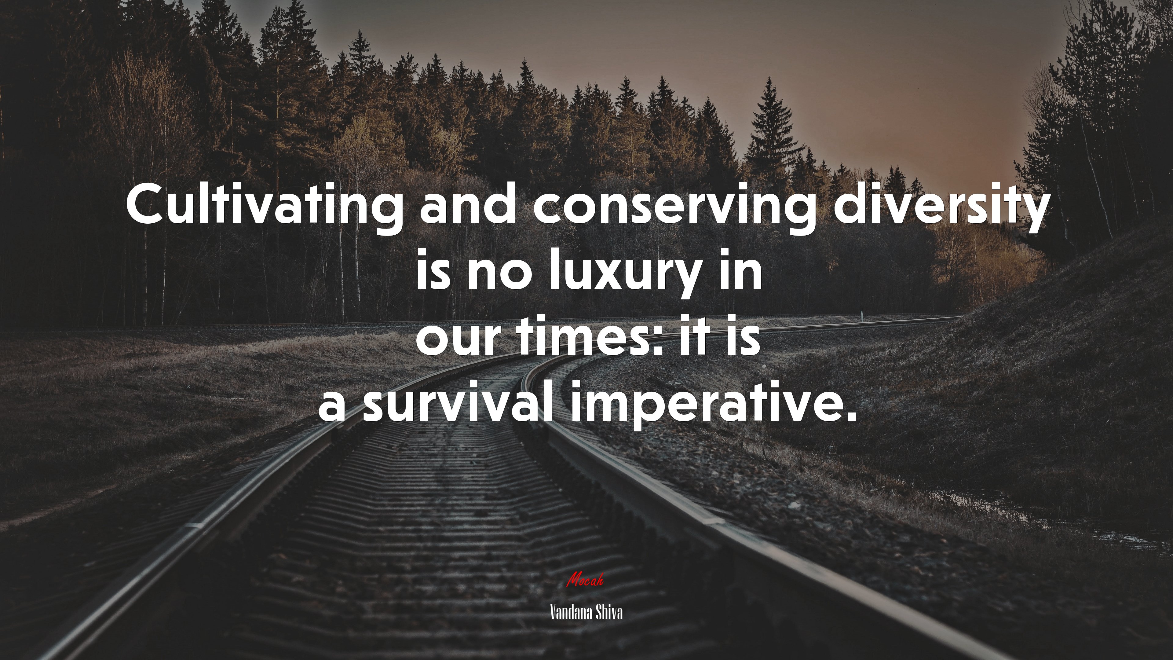 Cultivating and conserving diversity is no luxury in our times: it is a survival imperative. | Vandana Shiva quote HD Wallpaper